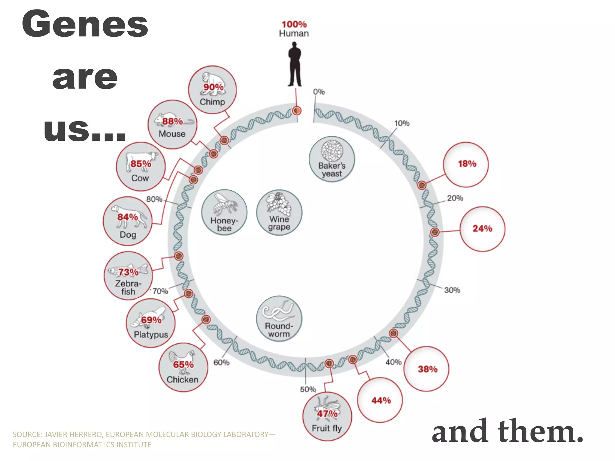 Genes
are
us…
and them.SOURCE:,JAVIER,HERRERO,,EUROPEAN,MOLECULAR,BIOLOGY,LABORATORY—
EUROPEAN,BIOINFORMAT,ICS,INSTITUTE
Genes
are
us…
and them.SOURCE:,JAVIER,HERRERO,,EUROPEAN,MOLECULAR,BIOLOGY,LABORATORY—
EUROPEAN,BIOINFORMAT,ICS,INSTITUTE
Genes
are
us…
and them.SOURCE:,JAVIER,HERRERO,,EUROPEAN,MOLECULAR,BIOLOGY,LABORATORY—
EUROPEAN,BIOINFORMAT,ICS,INSTITUTE
Genes
are
us…
and them.SOURCE:,JAVIER,HERRERO,,EUROPEAN,MOLECULAR,BIOLOGY,LABORATORY—
EUROPEAN,BIOINFORMAT,ICS,INSTITUTE
Genes
are
us…
and them.SOURCE:,JAVIER,HERRERO,,EUROPEAN,MOLECULAR,BIOLOGY,LABORATORY—
EUROPEAN,BIOINFORMAT,ICS,INSTITUTE
Genes
are
us…
and them.SOURCE:,JAVIER,HERRERO,,EUROPEAN,MOLECULAR,BIOLOGY,LABORATORY—
EUROPEAN,BIOINFORMAT,ICS,INSTITUTE
Genes
are
us…
and them.SOURCE:,JAVIER,HERRERO,,EUROPEAN,MOLECULAR,BIOLOGY,LABORATORY—
EUROPEAN,BIOINFORMAT,ICS,INSTITUTE
Genes
are
us…
and them.SOURCE:,JAVIER,HERRERO,,EUROPEAN,MOLECULAR,BIOLOGY,LABORATORY—
EUROPEAN,BIOINFORMAT,ICS,INSTITUTE
Genes
are
us…
and them.SOURCE:,JAVIER,HERRERO,,EUROPEAN,MOLECULAR,BIOLOGY,LABORATORY—
EUROPEAN,BIOINFORMAT,ICS,INSTITUTE
 