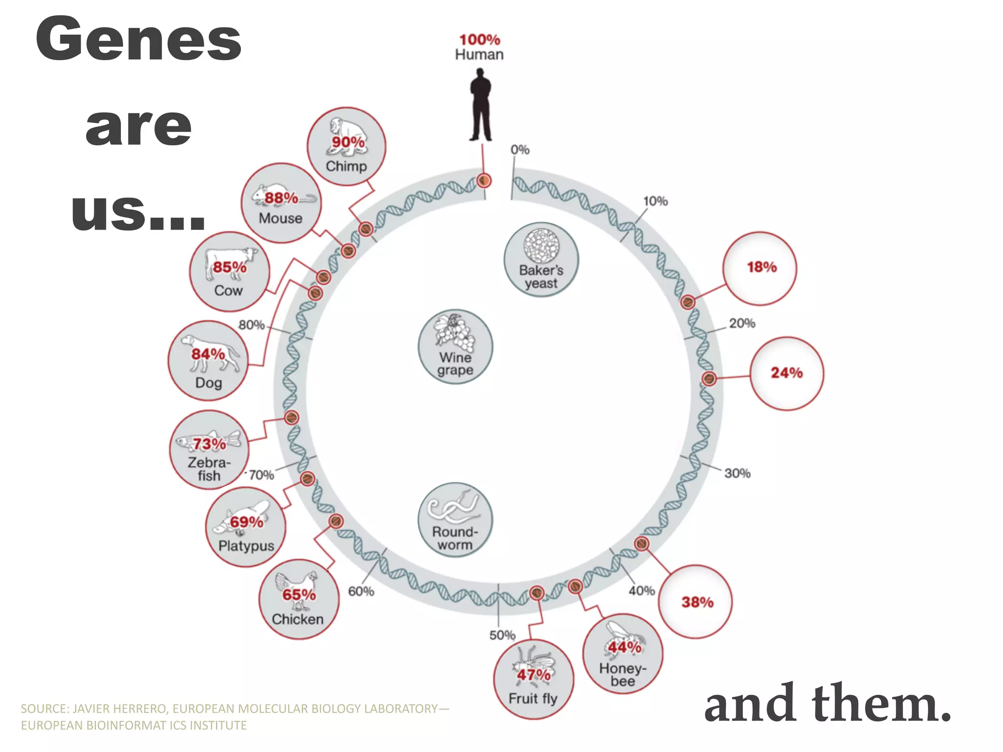 Genes
are
us…
and them.SOURCE:,JAVIER,HERRERO,,EUROPEAN,MOLECULAR,BIOLOGY,LABORATORY—
EUROPEAN,BIOINFORMAT,ICS,INSTITUTE
Genes
are
us…
and them.SOURCE:,JAVIER,HERRERO,,EUROPEAN,MOLECULAR,BIOLOGY,LABORATORY—
EUROPEAN,BIOINFORMAT,ICS,INSTITUTE
Genes
are
us…
and them.SOURCE:,JAVIER,HERRERO,,EUROPEAN,MOLECULAR,BIOLOGY,LABORATORY—
EUROPEAN,BIOINFORMAT,ICS,INSTITUTE
Genes
are
us…
and them.SOURCE:,JAVIER,HERRERO,,EUROPEAN,MOLECULAR,BIOLOGY,LABORATORY—
EUROPEAN,BIOINFORMAT,ICS,INSTITUTE
Genes
are
us…
and them.SOURCE:,JAVIER,HERRERO,,EUROPEAN,MOLECULAR,BIOLOGY,LABORATORY—
EUROPEAN,BIOINFORMAT,ICS,INSTITUTE
Genes
are
us…
and them.SOURCE:,JAVIER,HERRERO,,EUROPEAN,MOLECULAR,BIOLOGY,LABORATORY—
EUROPEAN,BIOINFORMAT,ICS,INSTITUTE
Genes
are
us…
and them.SOURCE:,JAVIER,HERRERO,,EUROPEAN,MOLECULAR,BIOLOGY,LABORATORY—
EUROPEAN,BIOINFORMAT,ICS,INSTITUTE
Genes
are
us…
and them.SOURCE:,JAVIER,HERRERO,,EUROPEAN,MOLECULAR,BIOLOGY,LABORATORY—
EUROPEAN,BIOINFORMAT,ICS,INSTITUTE
Genes
are
us…
and them.SOURCE:,JAVIER,HERRERO,,EUROPEAN,MOLECULAR,BIOLOGY,LABORATORY—
EUROPEAN,BIOINFORMAT,ICS,INSTITUTE
Genes
are
us…
and them.SOURCE:,JAVIER,HERRERO,,EUROPEAN,MOLECULAR,BIOLOGY,LABORATORY—
EUROPEAN,BIOINFORMAT,ICS,INSTITUTE
 