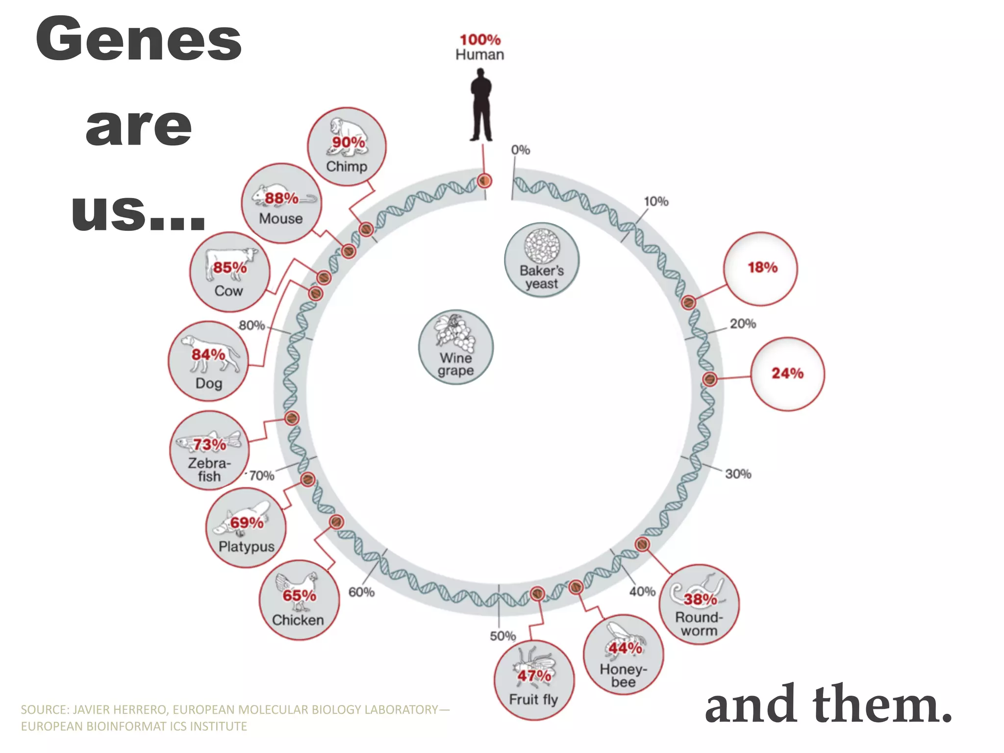 Genes
are
us…
and them.SOURCE:,JAVIER,HERRERO,,EUROPEAN,MOLECULAR,BIOLOGY,LABORATORY—
EUROPEAN,BIOINFORMAT,ICS,INSTITUTE
Genes
are
us…
and them.SOURCE:,JAVIER,HERRERO,,EUROPEAN,MOLECULAR,BIOLOGY,LABORATORY—
EUROPEAN,BIOINFORMAT,ICS,INSTITUTE
Genes
are
us…
and them.SOURCE:,JAVIER,HERRERO,,EUROPEAN,MOLECULAR,BIOLOGY,LABORATORY—
EUROPEAN,BIOINFORMAT,ICS,INSTITUTE
Genes
are
us…
and them.SOURCE:,JAVIER,HERRERO,,EUROPEAN,MOLECULAR,BIOLOGY,LABORATORY—
EUROPEAN,BIOINFORMAT,ICS,INSTITUTE
Genes
are
us…
and them.SOURCE:,JAVIER,HERRERO,,EUROPEAN,MOLECULAR,BIOLOGY,LABORATORY—
EUROPEAN,BIOINFORMAT,ICS,INSTITUTE
Genes
are
us…
and them.SOURCE:,JAVIER,HERRERO,,EUROPEAN,MOLECULAR,BIOLOGY,LABORATORY—
EUROPEAN,BIOINFORMAT,ICS,INSTITUTE
Genes
are
us…
and them.SOURCE:,JAVIER,HERRERO,,EUROPEAN,MOLECULAR,BIOLOGY,LABORATORY—
EUROPEAN,BIOINFORMAT,ICS,INSTITUTE
Genes
are
us…
and them.SOURCE:,JAVIER,HERRERO,,EUROPEAN,MOLECULAR,BIOLOGY,LABORATORY—
EUROPEAN,BIOINFORMAT,ICS,INSTITUTE
Genes
are
us…
and them.SOURCE:,JAVIER,HERRERO,,EUROPEAN,MOLECULAR,BIOLOGY,LABORATORY—
EUROPEAN,BIOINFORMAT,ICS,INSTITUTE
Genes
are
us…
and them.SOURCE:,JAVIER,HERRERO,,EUROPEAN,MOLECULAR,BIOLOGY,LABORATORY—
EUROPEAN,BIOINFORMAT,ICS,INSTITUTE
Genes
are
us…
and them.SOURCE:,JAVIER,HERRERO,,EUROPEAN,MOLECULAR,BIOLOGY,LABORATORY—
EUROPEAN,BIOINFORMAT,ICS,INSTITUTE
 