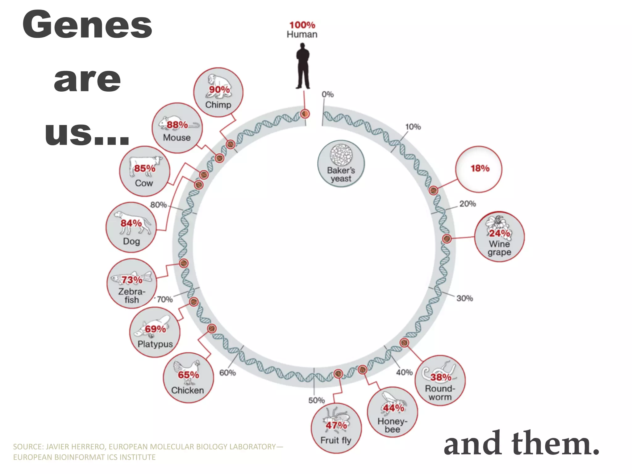Genes
are
us…
and them.SOURCE:,JAVIER,HERRERO,,EUROPEAN,MOLECULAR,BIOLOGY,LABORATORY—
EUROPEAN,BIOINFORMAT,ICS,INSTITUTE
Genes
are
us…
and them.SOURCE:,JAVIER,HERRERO,,EUROPEAN,MOLECULAR,BIOLOGY,LABORATORY—
EUROPEAN,BIOINFORMAT,ICS,INSTITUTE
Genes
are
us…
and them.SOURCE:,JAVIER,HERRERO,,EUROPEAN,MOLECULAR,BIOLOGY,LABORATORY—
EUROPEAN,BIOINFORMAT,ICS,INSTITUTE
Genes
are
us…
and them.SOURCE:,JAVIER,HERRERO,,EUROPEAN,MOLECULAR,BIOLOGY,LABORATORY—
EUROPEAN,BIOINFORMAT,ICS,INSTITUTE
Genes
are
us…
and them.SOURCE:,JAVIER,HERRERO,,EUROPEAN,MOLECULAR,BIOLOGY,LABORATORY—
EUROPEAN,BIOINFORMAT,ICS,INSTITUTE
Genes
are
us…
and them.SOURCE:,JAVIER,HERRERO,,EUROPEAN,MOLECULAR,BIOLOGY,LABORATORY—
EUROPEAN,BIOINFORMAT,ICS,INSTITUTE
Genes
are
us…
and them.SOURCE:,JAVIER,HERRERO,,EUROPEAN,MOLECULAR,BIOLOGY,LABORATORY—
EUROPEAN,BIOINFORMAT,ICS,INSTITUTE
Genes
are
us…
and them.SOURCE:,JAVIER,HERRERO,,EUROPEAN,MOLECULAR,BIOLOGY,LABORATORY—
EUROPEAN,BIOINFORMAT,ICS,INSTITUTE
Genes
are
us…
and them.SOURCE:,JAVIER,HERRERO,,EUROPEAN,MOLECULAR,BIOLOGY,LABORATORY—
EUROPEAN,BIOINFORMAT,ICS,INSTITUTE
Genes
are
us…
and them.SOURCE:,JAVIER,HERRERO,,EUROPEAN,MOLECULAR,BIOLOGY,LABORATORY—
EUROPEAN,BIOINFORMAT,ICS,INSTITUTE
Genes
are
us…
and them.SOURCE:,JAVIER,HERRERO,,EUROPEAN,MOLECULAR,BIOLOGY,LABORATORY—
EUROPEAN,BIOINFORMAT,ICS,INSTITUTE
Genes
are
us…
and them.SOURCE:,JAVIER,HERRERO,,EUROPEAN,MOLECULAR,BIOLOGY,LABORATORY—
EUROPEAN,BIOINFORMAT,ICS,INSTITUTE
 
