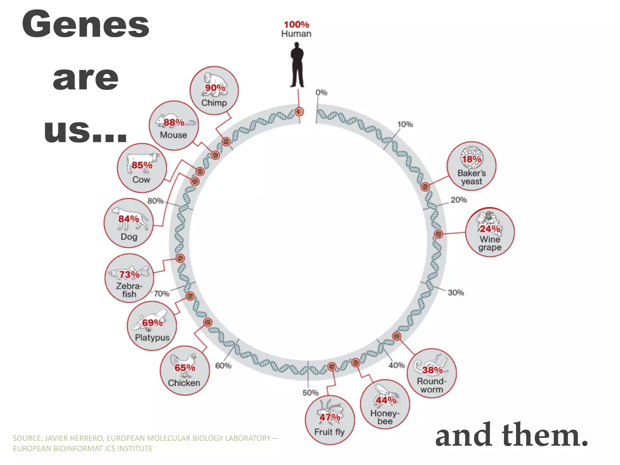 Genes
are
us…
and them.SOURCE:,JAVIER,HERRERO,,EUROPEAN,MOLECULAR,BIOLOGY,LABORATORY—
EUROPEAN,BIOINFORMAT,ICS,INSTITUTE
Genes
are
us…
and them.SOURCE:,JAVIER,HERRERO,,EUROPEAN,MOLECULAR,BIOLOGY,LABORATORY—
EUROPEAN,BIOINFORMAT,ICS,INSTITUTE
Genes
are
us…
and them.SOURCE:,JAVIER,HERRERO,,EUROPEAN,MOLECULAR,BIOLOGY,LABORATORY—
EUROPEAN,BIOINFORMAT,ICS,INSTITUTE
Genes
are
us…
and them.SOURCE:,JAVIER,HERRERO,,EUROPEAN,MOLECULAR,BIOLOGY,LABORATORY—
EUROPEAN,BIOINFORMAT,ICS,INSTITUTE
Genes
are
us…
and them.SOURCE:,JAVIER,HERRERO,,EUROPEAN,MOLECULAR,BIOLOGY,LABORATORY—
EUROPEAN,BIOINFORMAT,ICS,INSTITUTE
Genes
are
us…
and them.SOURCE:,JAVIER,HERRERO,,EUROPEAN,MOLECULAR,BIOLOGY,LABORATORY—
EUROPEAN,BIOINFORMAT,ICS,INSTITUTE
Genes
are
us…
and them.SOURCE:,JAVIER,HERRERO,,EUROPEAN,MOLECULAR,BIOLOGY,LABORATORY—
EUROPEAN,BIOINFORMAT,ICS,INSTITUTE
Genes
are
us…
and them.SOURCE:,JAVIER,HERRERO,,EUROPEAN,MOLECULAR,BIOLOGY,LABORATORY—
EUROPEAN,BIOINFORMAT,ICS,INSTITUTE
Genes
are
us…
and them.SOURCE:,JAVIER,HERRERO,,EUROPEAN,MOLECULAR,BIOLOGY,LABORATORY—
EUROPEAN,BIOINFORMAT,ICS,INSTITUTE
Genes
are
us…
and them.SOURCE:,JAVIER,HERRERO,,EUROPEAN,MOLECULAR,BIOLOGY,LABORATORY—
EUROPEAN,BIOINFORMAT,ICS,INSTITUTE
Genes
are
us…
and them.SOURCE:,JAVIER,HERRERO,,EUROPEAN,MOLECULAR,BIOLOGY,LABORATORY—
EUROPEAN,BIOINFORMAT,ICS,INSTITUTE
Genes
are
us…
and them.SOURCE:,JAVIER,HERRERO,,EUROPEAN,MOLECULAR,BIOLOGY,LABORATORY—
EUROPEAN,BIOINFORMAT,ICS,INSTITUTE
Genes
are
us…
and them.SOURCE:,JAVIER,HERRERO,,EUROPEAN,MOLECULAR,BIOLOGY,LABORATORY—
EUROPEAN,BIOINFORMAT,ICS,INSTITUTE
 