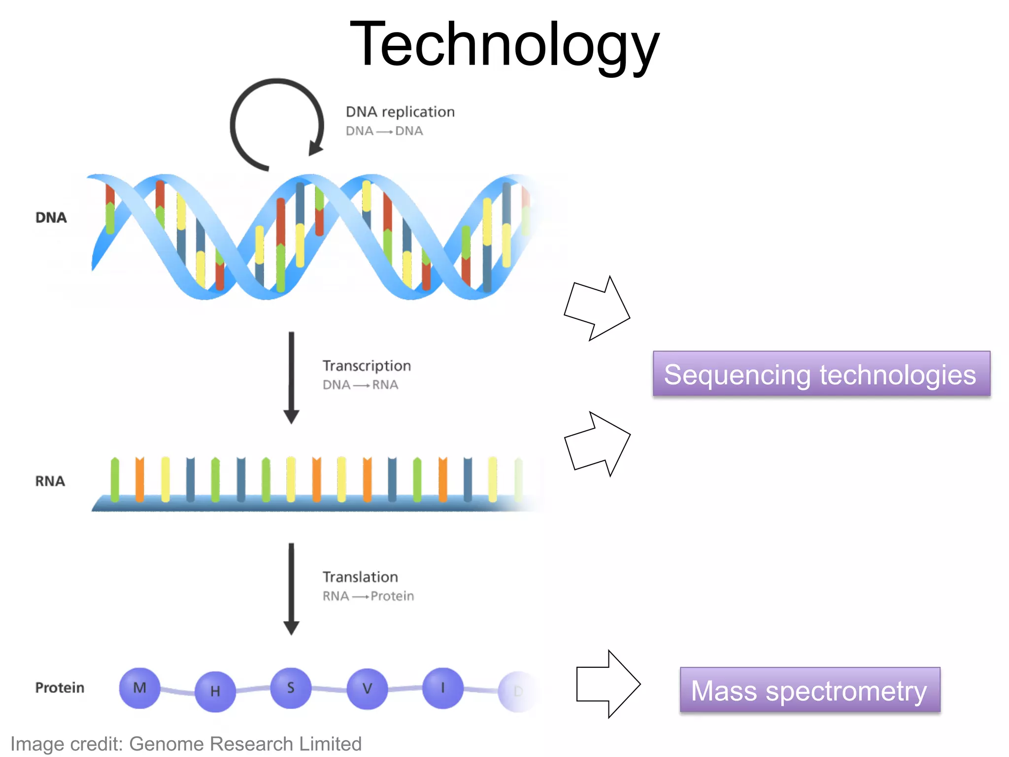 Technology
Image credit: Genome Research Limited
Mass spectrometry
Sequencing technologies
v
v
v
 