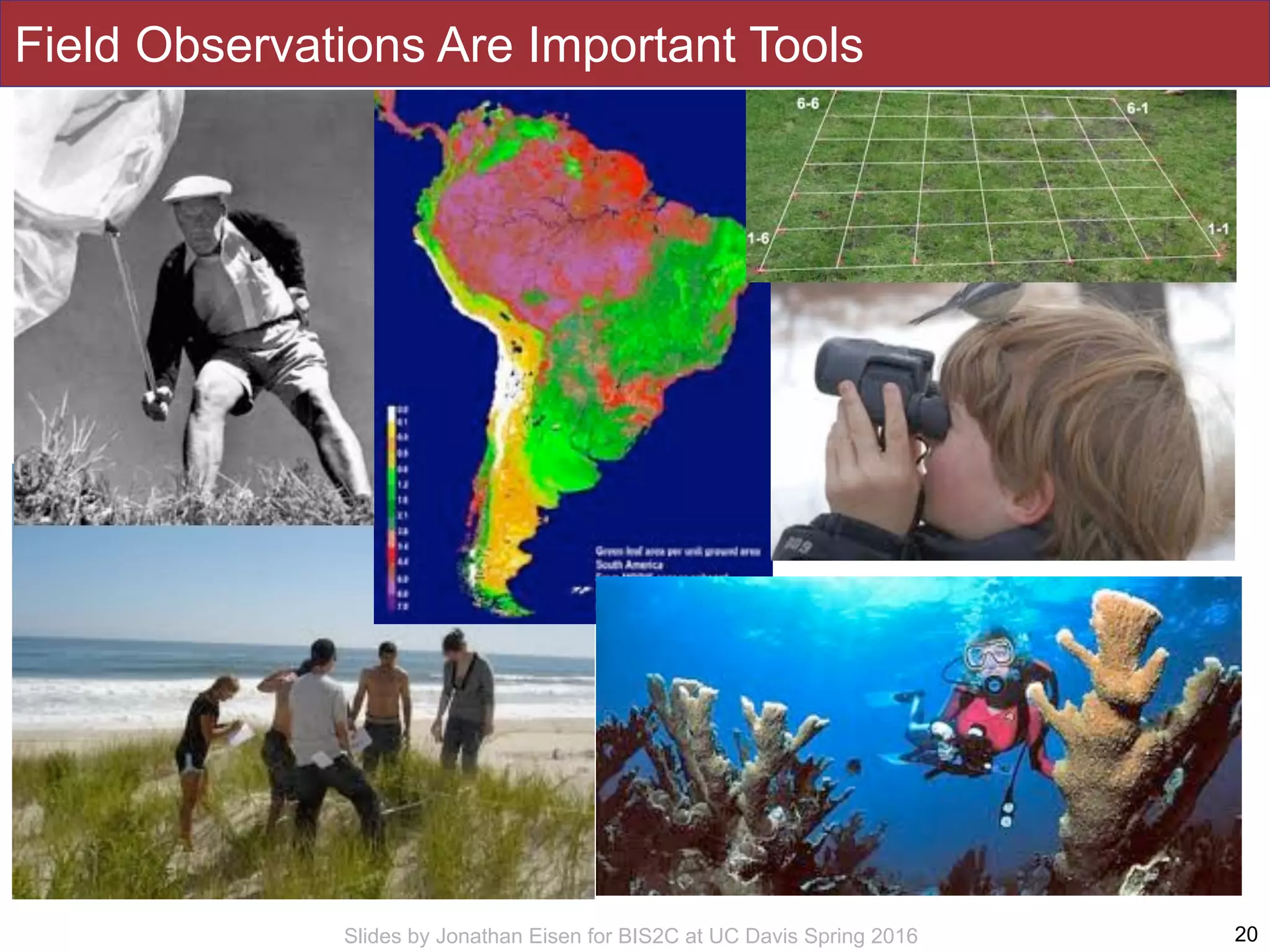 Slides by Jonathan Eisen for BIS2C at UC Davis Spring 2016 20
Field Observations Are Important Tools
 