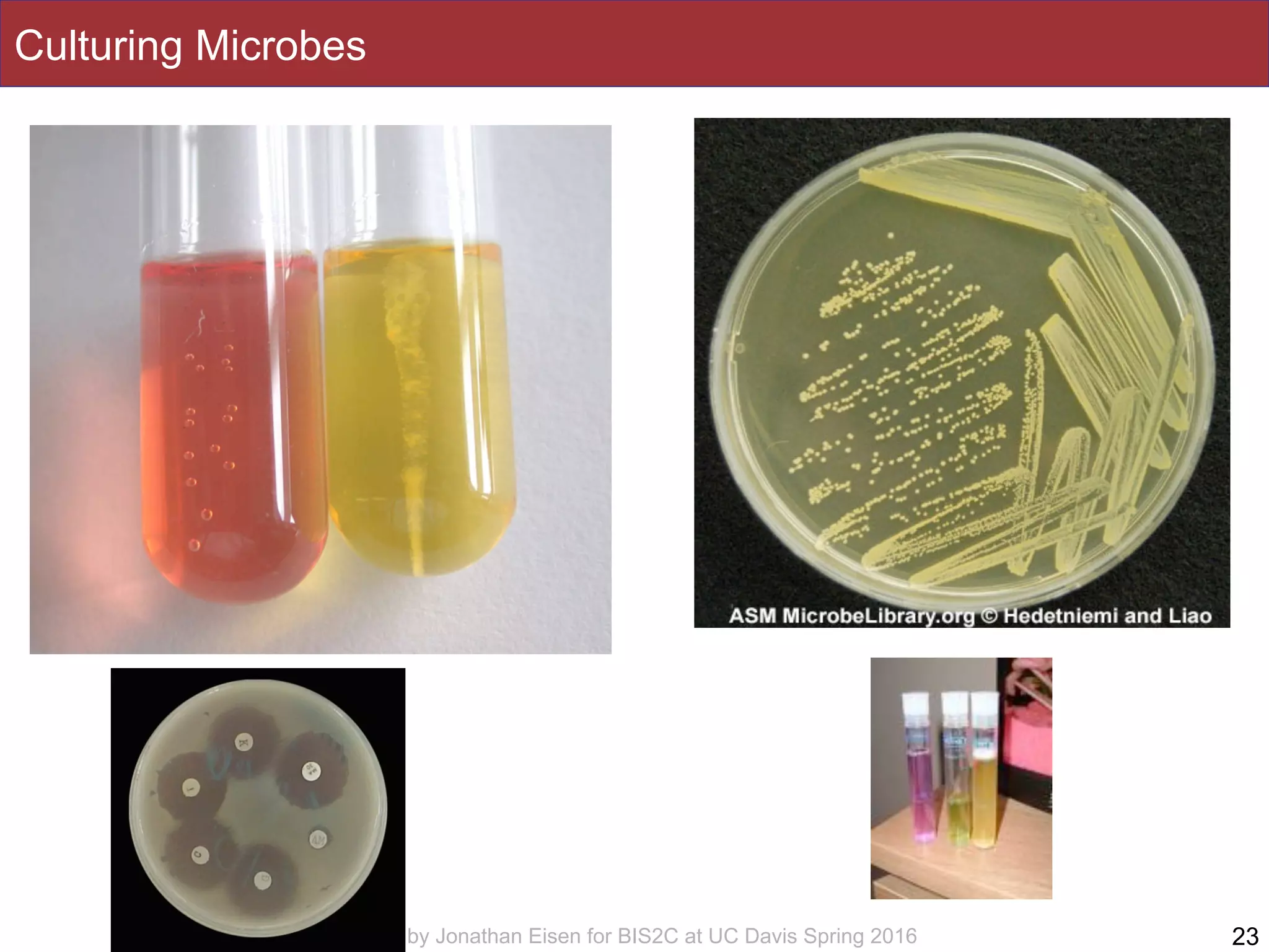 Slides by Jonathan Eisen for BIS2C at UC Davis Spring 2016 !23
Culturing Microbes
 