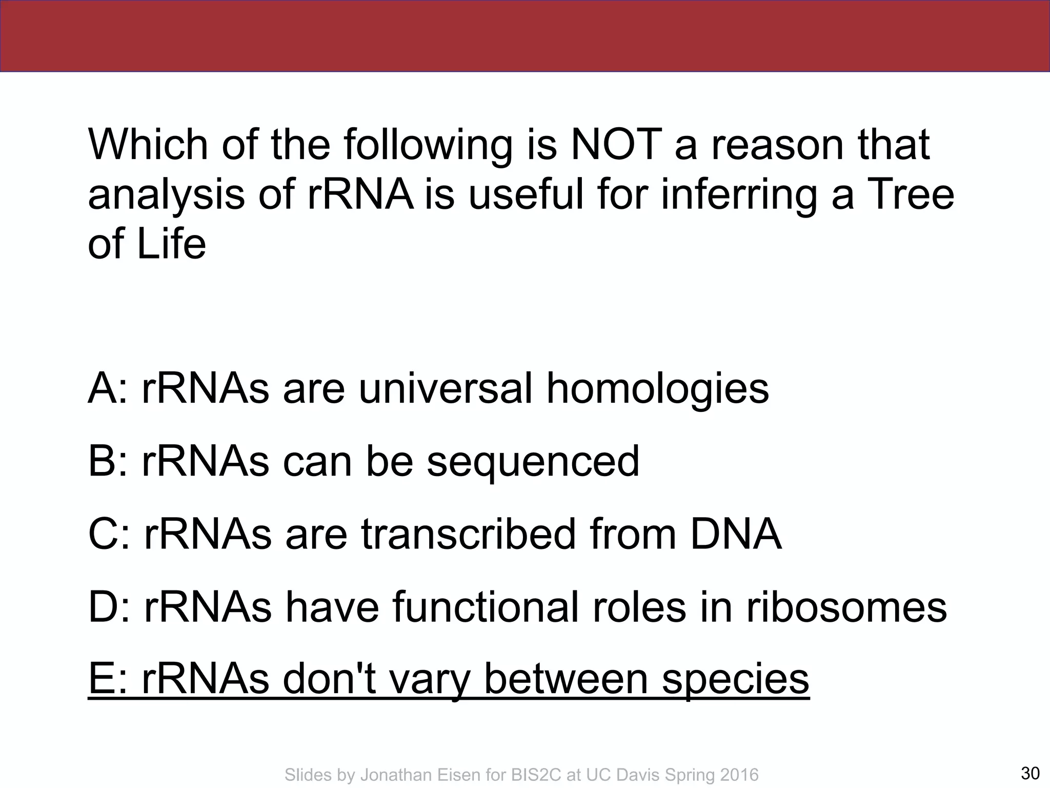 Slides by Jonathan Eisen for BIS2C at UC Davis Spring 2016
Which of the following is NOT a reason that
analysis of rRNA is useful for inferring a Tree
of Life
A: rRNAs are universal homologies
B: rRNAs can be sequenced
C: rRNAs are transcribed from DNA
D: rRNAs have functional roles in ribosomes
E: rRNAs don't vary between species
30
 