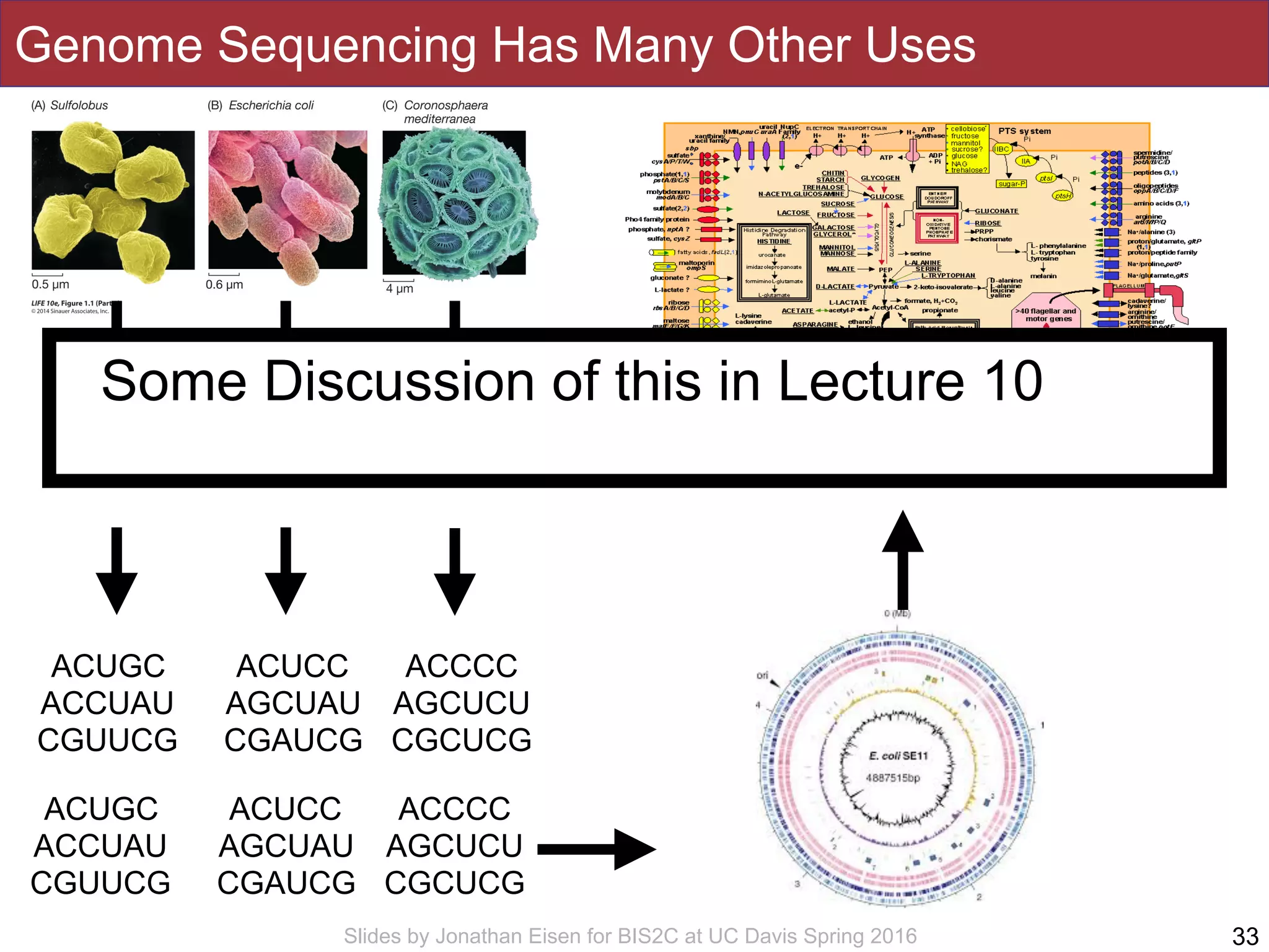 Slides by Jonathan Eisen for BIS2C at UC Davis Spring 2016
Genome Sequencing Has Many Other Uses
33
ACUGC
ACCUAU
CGUUCG
ACUCC
AGCUAU
CGAUCG
ACCCC
AGCUCU
CGCUCG
DNA DNADNA
ACUGC
ACCUAU
CGUUCG
ACUCC
AGCUAU
CGAUCG
ACCCC
AGCUCU
CGCUCG
Some Discussion of this in Lecture 10
 