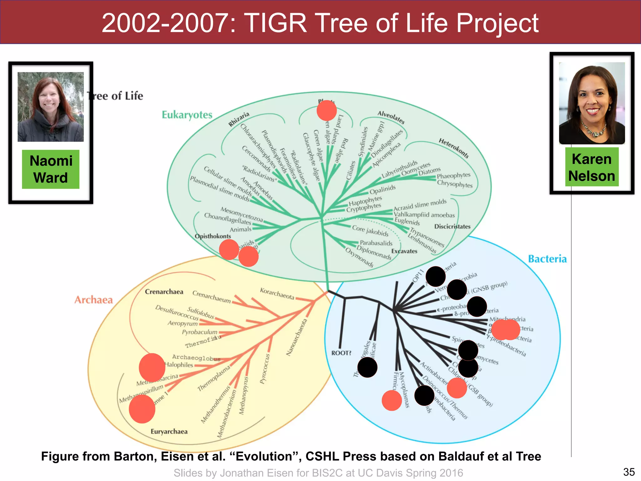 Slides by Jonathan Eisen for BIS2C at UC Davis Spring 2016
2002-2007: TIGR Tree of Life Project
35
Figure from Barton, Eisen et al. “Evolution”, CSHL Press based on Baldauf et al Tree
Naomi
Ward
Karen
Nelson
 