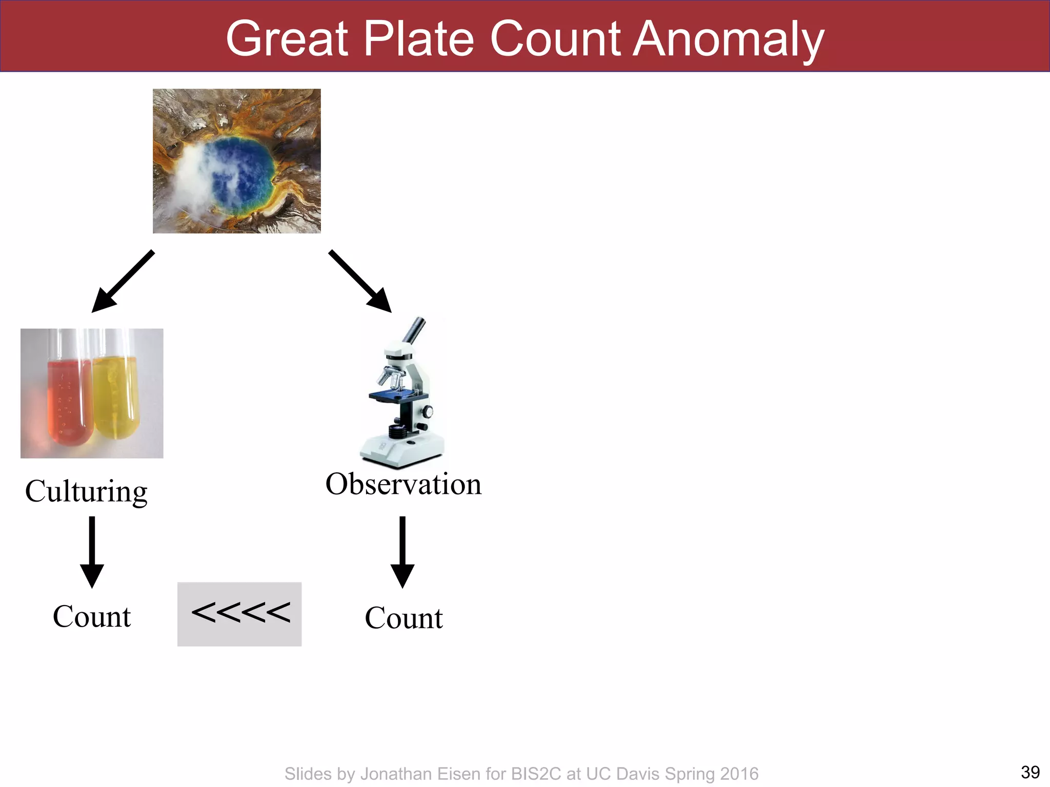 Slides by Jonathan Eisen for BIS2C at UC Davis Spring 2016
Great Plate Count Anomaly
39
<<<<
Culturing Observation
CountCount
 