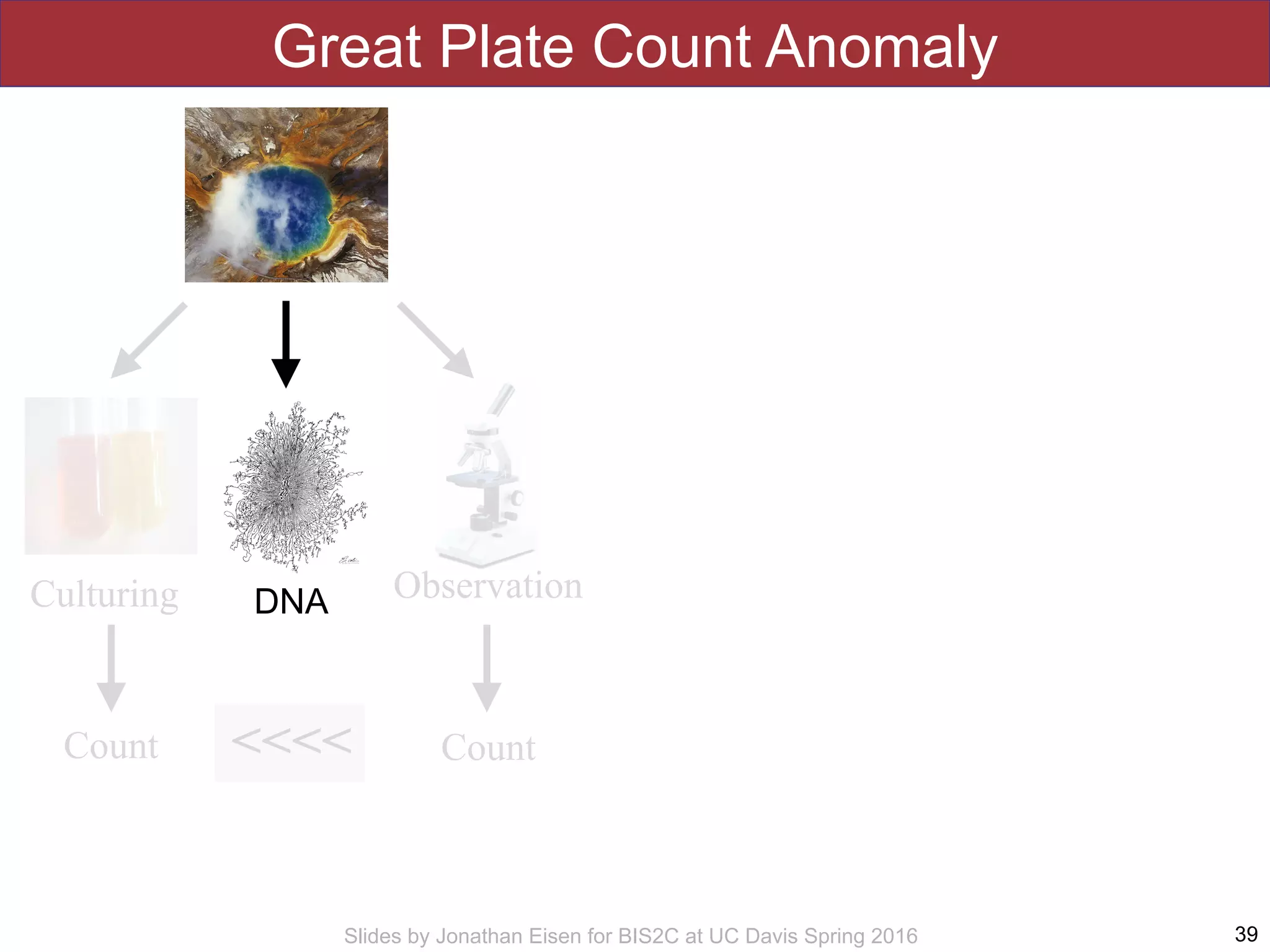 Slides by Jonathan Eisen for BIS2C at UC Davis Spring 2016
Great Plate Count Anomaly
39
<<<<
Culturing Observation
CountCount
http://www.google.com/url?
sa=i&rct=j&q=&esrc=s&source=images&c
d=&docid=rLu5sL207WlE1M&tbnid=CRLQ
YP7d9d_TcM:&ved=0CAUQjRw&url=http
%3A%2F%2Fwww.biol.unt.edu
%2F~jajohnson
%2FDNA_sequencing_process&ei=hFu7U_
TyCtOqsQSu9YGwBg&psig=AFQjCNG-8EB
dEljE7-
yHFG2KPuBZt8kIPw&ust=14048739512114
24
DNA
 