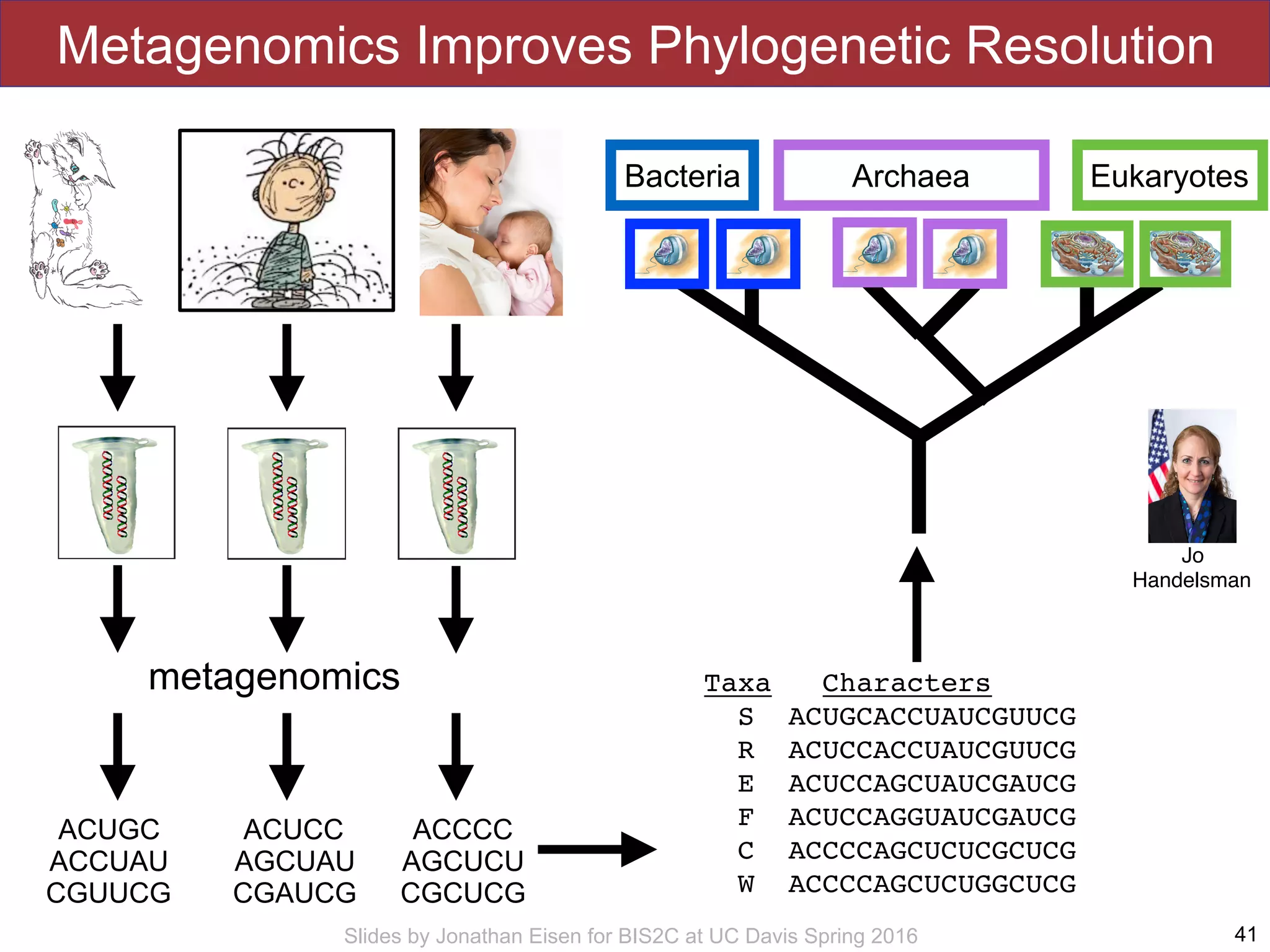 Slides by Jonathan Eisen for BIS2C at UC Davis Spring 2016
Metagenomics Improves Phylogenetic Resolution
41
metagenomics
ACUGC
ACCUAU
CGUUCG
ACUCC
AGCUAU
CGAUCG
ACCCC
AGCUCU
CGCUCG
Taxa Characters
S ACUGCACCUAUCGUUCG
R ACUCCACCUAUCGUUCG
E ACUCCAGCUAUCGAUCG
F ACUCCAGGUAUCGAUCG
C ACCCCAGCUCUCGCUCG
W ACCCCAGCUCUGGCUCG
EukaryotesBacteria Archaea
Jo
Handelsman
 