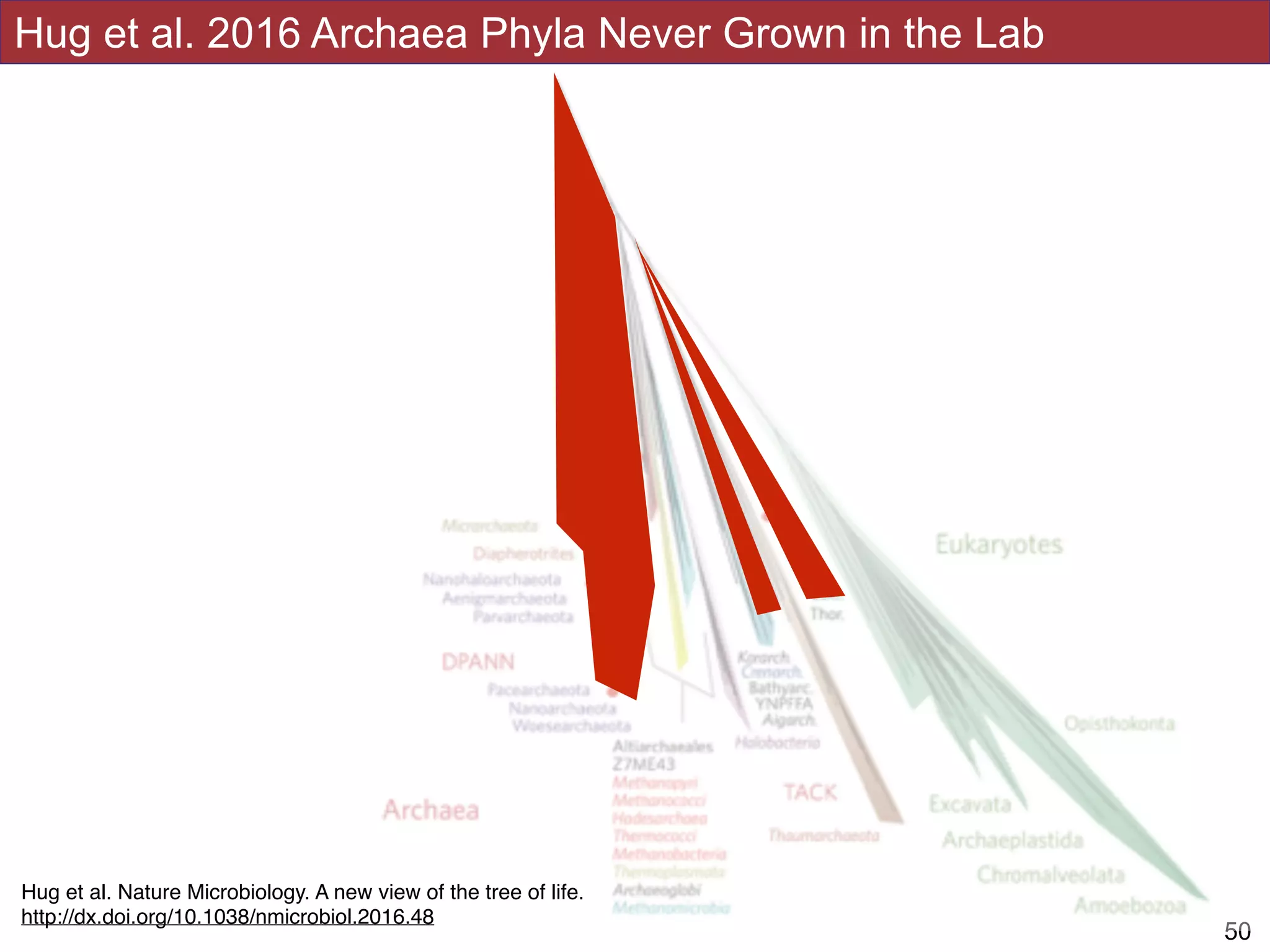 Hug et al 2016
!50
Hug et al. 2016 Archaea Phyla Never Grown in the Lab
Hug et al. Nature Microbiology. A new view of the tree of life.
http://dx.doi.org/10.1038/nmicrobiol.2016.48
 