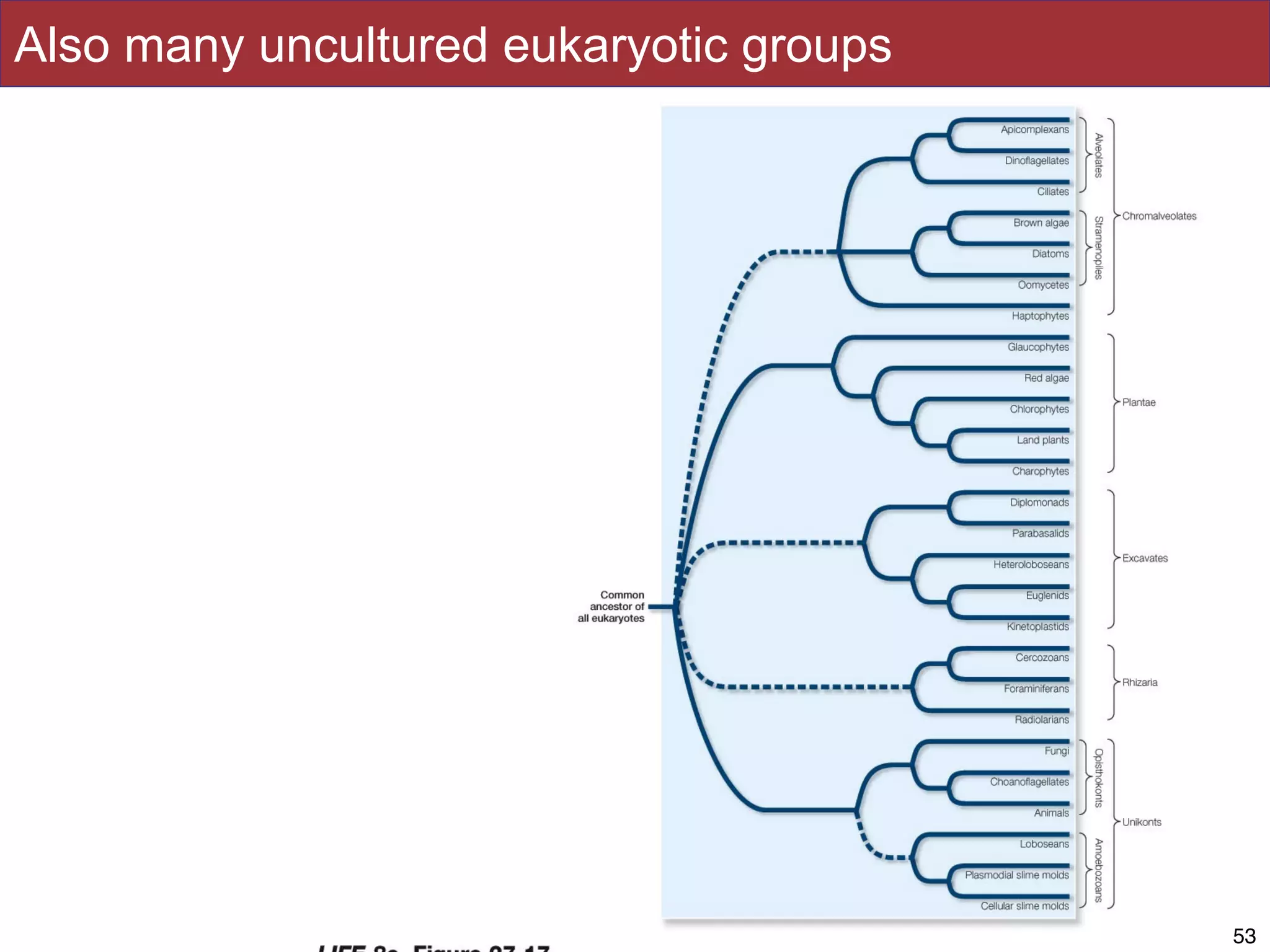 Slides by Jonathan Eisen for BIS2C at UC Davis Spring 2014
Also many uncultured eukaryotic groups
5353
 