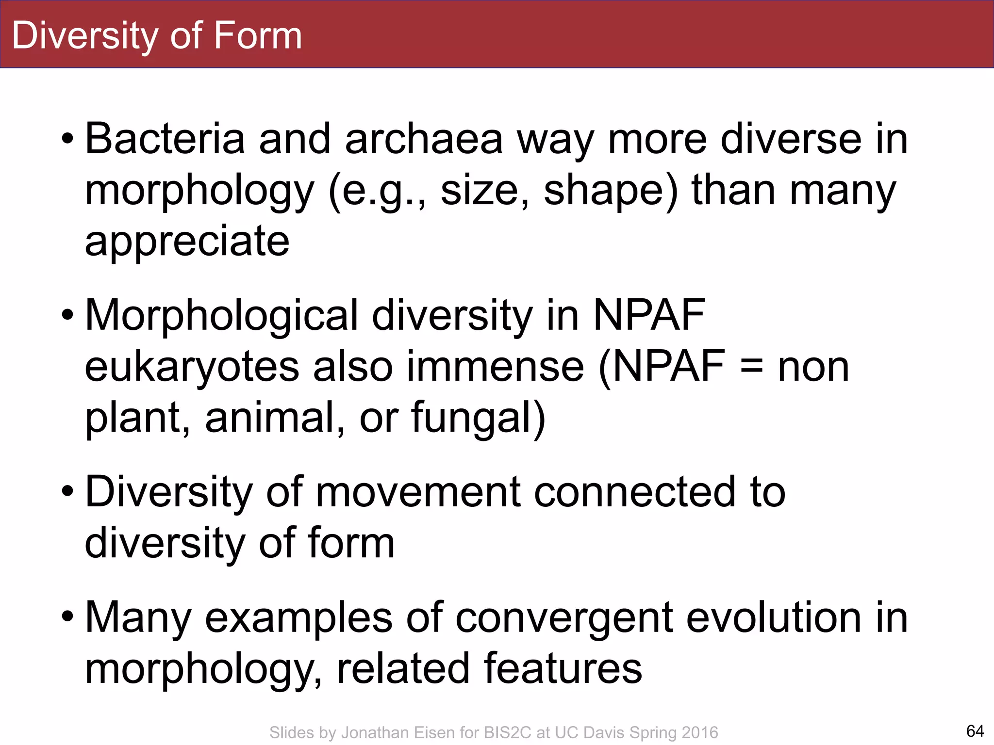 Slides by Jonathan Eisen for BIS2C at UC Davis Spring 2016
Diversity of Form
• Bacteria and archaea way more diverse in
morphology (e.g., size, shape) than many
appreciate
• Morphological diversity in NPAF
eukaryotes also immense (NPAF = non
plant, animal, or fungal)
• Diversity of movement connected to
diversity of form
• Many examples of convergent evolution in
morphology, related features
64
 