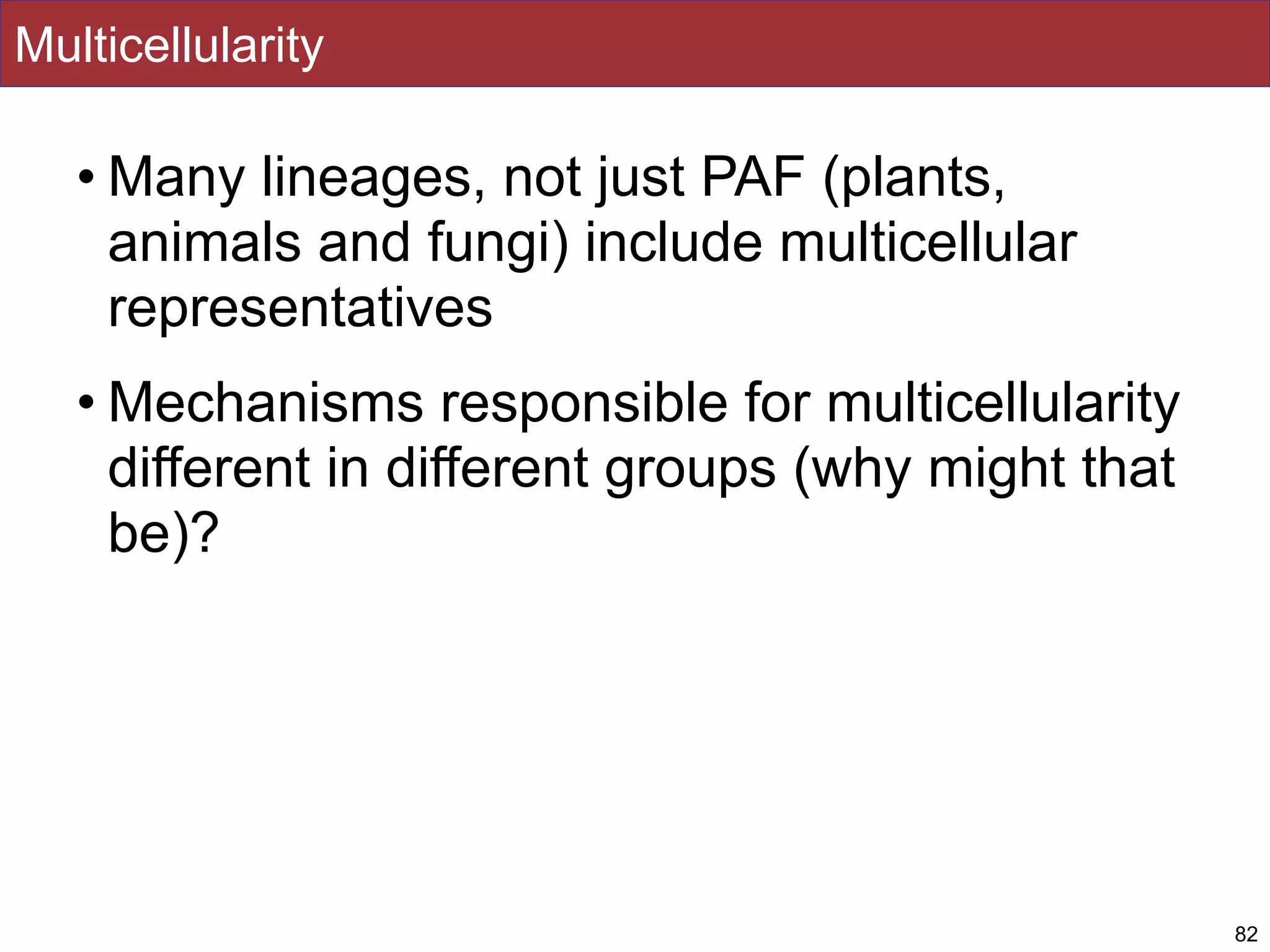 Multicellularity
• Many lineages, not just PAF (plants,
animals and fungi) include multicellular
representatives
• Mechanisms responsible for multicellularity
different in different groups (why might that
be)?
82
 