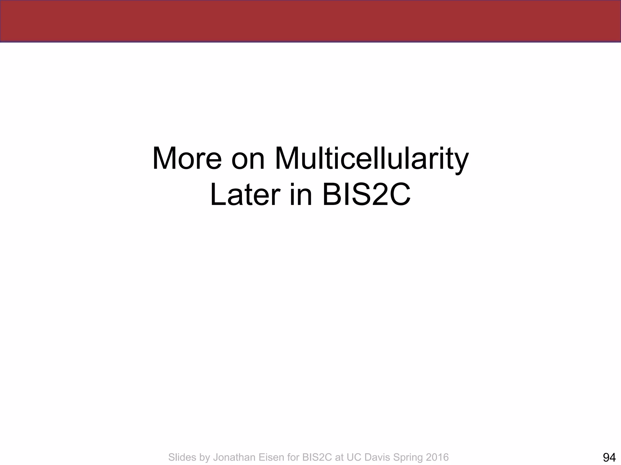 Slides by Jonathan Eisen for BIS2C at UC Davis Spring 2016
More on Multicellularity
Later in BIS2C
94
 