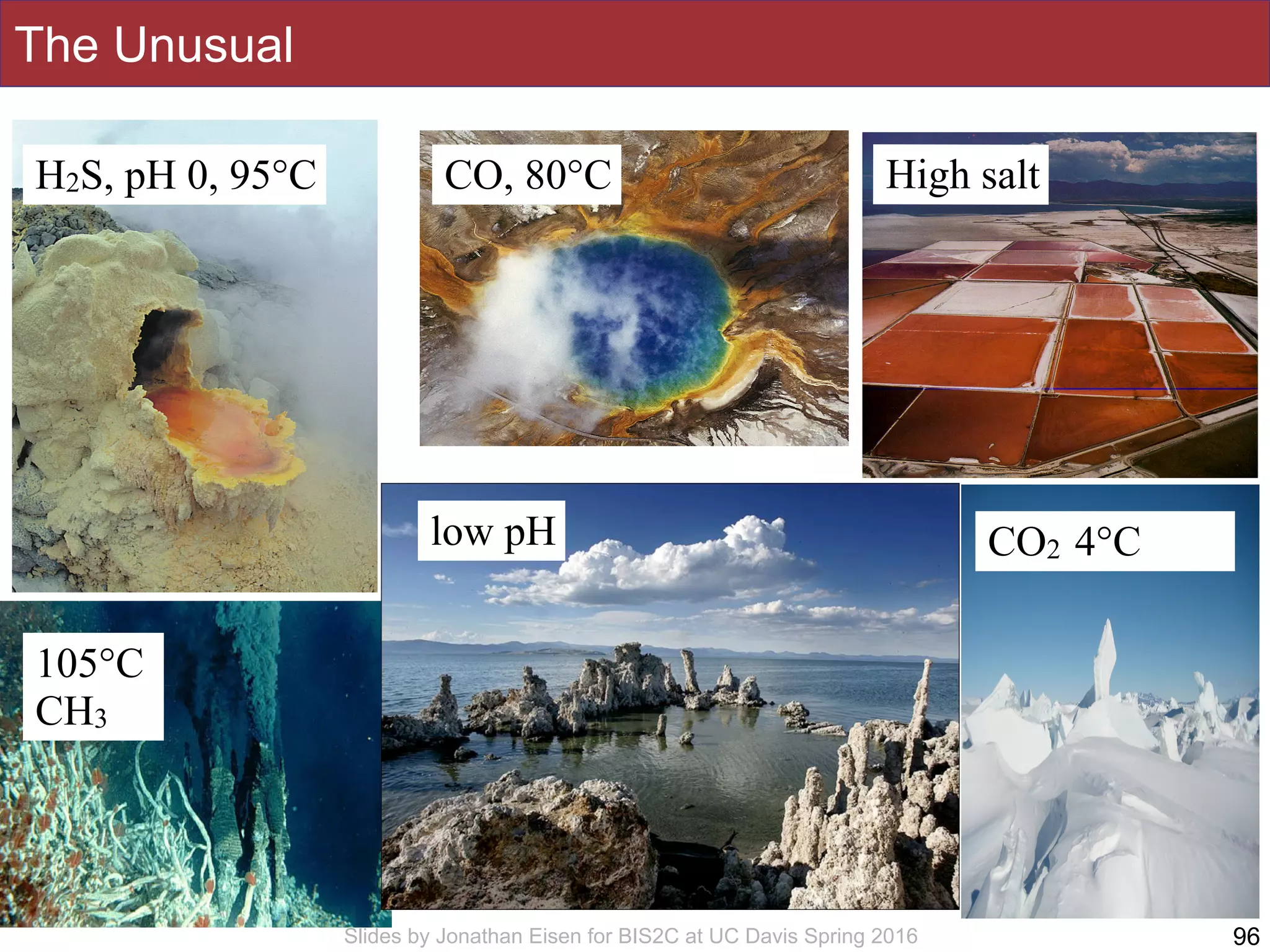 Slides by Jonathan Eisen for BIS2C at UC Davis Spring 2016
The Unusual
105°C
CH3
CO, 80°CH2S, pH 0, 95°C High salt
CO2 4°Clow pH
96
 