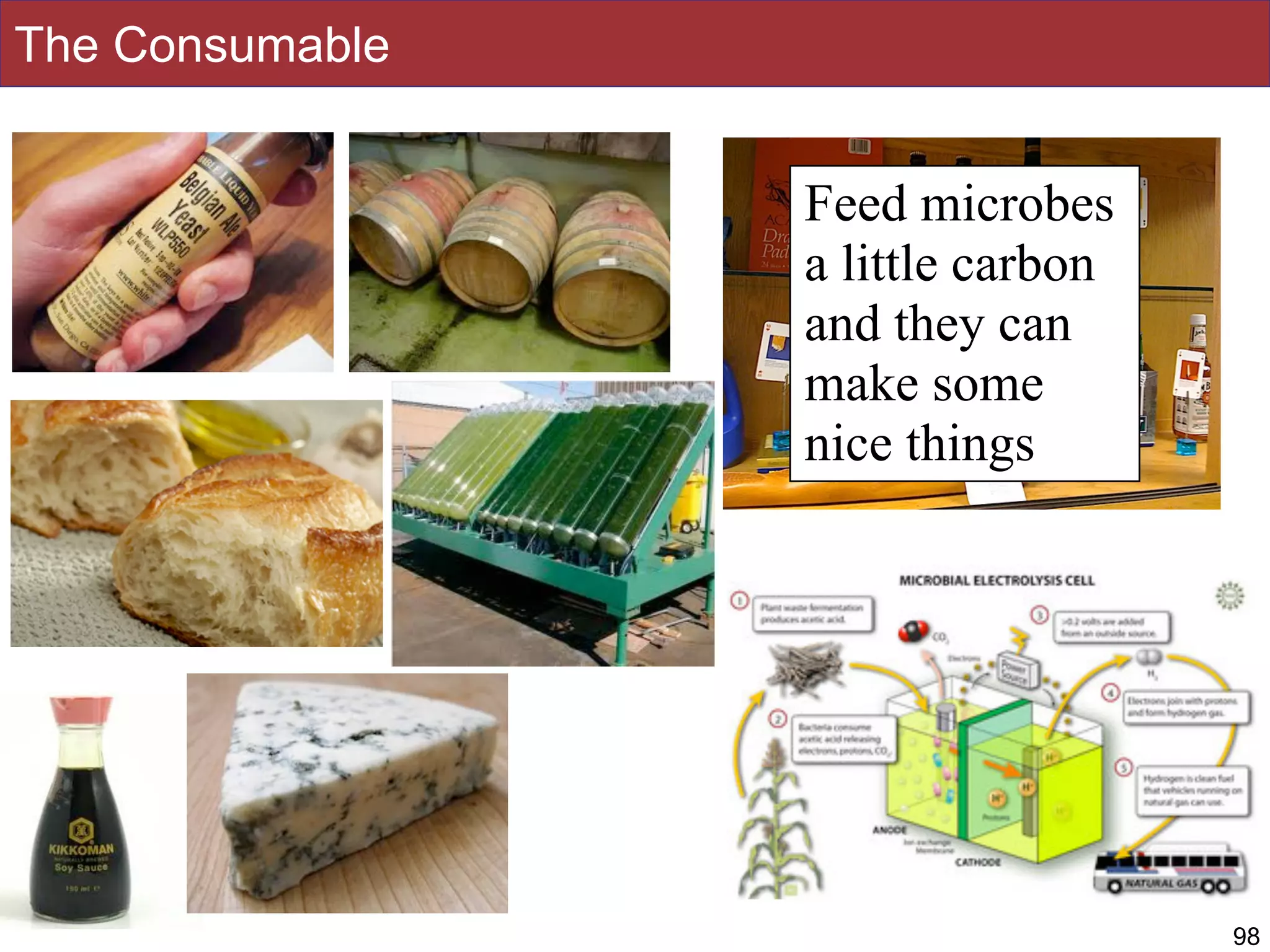 The Consumable
• =
98
Feed microbes
a little carbon
and they can
make some
nice things
 