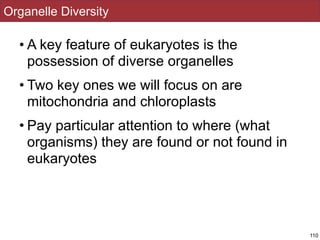 Organelle Diversity
• A key feature of eukaryotes is the
possession of diverse organelles
• Two key ones we will focus on are
mitochondria and chloroplasts
• Pay particular attention to where (what
organisms) they are found or not found in
eukaryotes
110
 