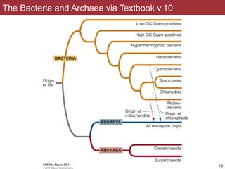 Slides by Jonathan Eisen for BIS2C at UC Davis Spring 2016
The Bacteria and Archaea via Textbook v.10
15
 