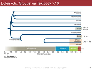 Slides by Jonathan Eisen for BIS2C at UC Davis Spring 2016
Eukaryotic Groups via Textbook v.10
16
 