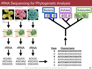 Slides by Jonathan Eisen for BIS2C at UC Davis Spring 2016
rRNA Sequencing for Phylogenetic Analysis
27
rRNA rRNArRNA
ACUGC
ACCUAU
CGUUCG
ACUCC
AGCUAU
CGAUCG
ACCCC
AGCUCU
CGCUCG
Taxa Characters
S ACUGCACCUAUCGUUCG
R ACUCCACCUAUCGUUCG
E ACUCCAGCUAUCGAUCG
F ACUCCAGGUAUCGAUCG
C ACCCCAGCUCUCGCUCG
W ACCCCAGCUCUGGCUCG
Taxa Characters
S ACUGCACCUAUCGUUCG
E ACUCCAGCUAUCGAUCG
C ACCCCAGCUCUCGCUCG
EukaryotesBacteria ?????Archaea
 
