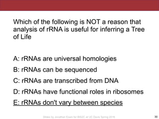 Slides by Jonathan Eisen for BIS2C at UC Davis Spring 2016
Which of the following is NOT a reason that
analysis of rRNA is useful for inferring a Tree
of Life
A: rRNAs are universal homologies
B: rRNAs can be sequenced
C: rRNAs are transcribed from DNA
D: rRNAs have functional roles in ribosomes
E: rRNAs don't vary between species
30
 