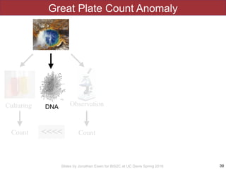 Slides by Jonathan Eisen for BIS2C at UC Davis Spring 2016
Great Plate Count Anomaly
39
<<<<
Culturing Observation
CountCount
http://www.google.com/url?
sa=i&rct=j&q=&esrc=s&source=images&c
d=&docid=rLu5sL207WlE1M&tbnid=CRLQ
YP7d9d_TcM:&ved=0CAUQjRw&url=http
%3A%2F%2Fwww.biol.unt.edu
%2F~jajohnson
%2FDNA_sequencing_process&ei=hFu7U_
TyCtOqsQSu9YGwBg&psig=AFQjCNG-8EB
dEljE7-
yHFG2KPuBZt8kIPw&ust=14048739512114
24
DNA
 