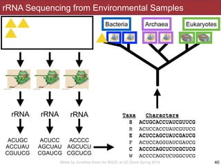 Slides by Jonathan Eisen for BIS2C at UC Davis Spring 2016
rRNA Sequencing from Environmental Samples
40
rRNA rRNArRNA
ACUGC
ACCUAU
CGUUCG
ACUCC
AGCUAU
CGAUCG
ACCCC
AGCUCU
CGCUCG
Taxa Characters
S ACUGCACCUAUCGUUCG
R ACUCCACCUAUCGUUCG
E ACUCCAGCUAUCGAUCG
F ACUCCAGGUAUCGAUCG
C ACCCCAGCUCUCGCUCG
W ACCCCAGCUCUGGCUCG
Taxa Characters
S ACUGCACCUAUCGUUCG
E ACUCCAGCUAUCGAUCG
C ACCCCAGCUCUCGCUCG
EukaryotesBacteria ?????Archaea
 