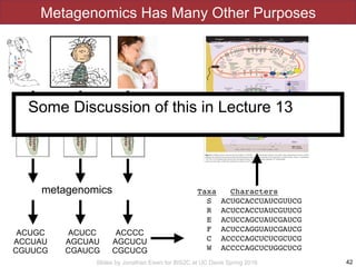 Slides by Jonathan Eisen for BIS2C at UC Davis Spring 2016
Metagenomics Has Many Other Purposes
42
metagenomics
ACUGC
ACCUAU
CGUUCG
ACUCC
AGCUAU
CGAUCG
ACCCC
AGCUCU
CGCUCG
Taxa Characters
S ACUGCACCUAUCGUUCG
R ACUCCACCUAUCGUUCG
E ACUCCAGCUAUCGAUCG
F ACUCCAGGUAUCGAUCG
C ACCCCAGCUCUCGCUCG
W ACCCCAGCUCUGGCUCG
inputs of ﬁxed carbon or nitrogen from external sources. As with
Leptospirillum group I, both Leptospirillum group II and III have the
genes needed to ﬁx carbon by means of the Calvin–Benson–
Bassham cycle (using type II ribulose 1,5-bisphosphate carboxy-
lase–oxygenase). All genomes recovered from the AMD system
contain formate hydrogenlyase complexes. These, in combination
with carbon monoxide dehydrogenase, may be used for carbon
ﬁxation via the reductive acetyl coenzyme A (acetyl-CoA) pathway
by some, or all, organisms. Given the large number of ABC-type
sugar and amino acid transporters encoded in the Ferroplasma type
Figure 4 Cell metabolic cartoons constructed from the annotation of 2,180 ORFs
identiﬁed in the Leptospirillum group II genome (63% with putative assigned function) and
1,931 ORFs in the Ferroplasma type II genome (58% with assigned function). The cell
cartoons are shown within a bioﬁlm that is attached to the surface of an acid mine
drainage stream (viewed in cross-section). Tight coupling between ferrous iron oxidation,
pyrite dissolution and acid generation is indicated. Rubisco, ribulose 1,5-bisphosphate
carboxylase–oxygenase. THF, tetrahydrofolate.
articles
NATURE | doi:10.1038/nature02340 | www.nature.com/nature 5©2004 NaturePublishing Group
Some Discussion of this in Lecture 13
 