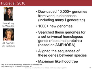 Slides by Jonathan Eisen for BIS2C at UC Davis Spring 2016
Hug et al. 2016
• Dowloaded 10,000+ genomes
from various databases
(including many I generated)
• 1000+ new genomes
• Searched these genomes for
a set universal homologous
genes (ribosomal proteins)
(based on AMPHORA)
• Aligned the sequences of
these genes between species
• Maximum likelihood tree
44
Hug et al. Nature Microbiology. A new view of the tree of life.
http://dx.doi.org/10.1038/nmicrobiol.2016.48
Laura Hug
U. Waterloo
Jill Banﬁeld
UC Berkeley
 