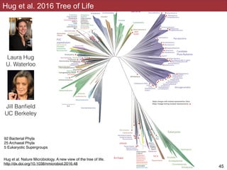 Hug et al 2016
!45
Hug et al. 2016 Tree of Life
92 Bacterial Phyla
25 Archaeal Phyla
5 Eukaryotic Supergroups
Hug et al. Nature Microbiology. A new view of the tree of life.
http://dx.doi.org/10.1038/nmicrobiol.2016.48
Laura Hug
U. Waterloo
Jill Banﬁeld
UC Berkeley
 