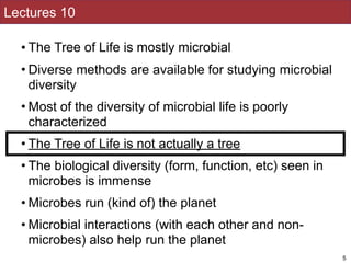 Lectures 10
• The Tree of Life is mostly microbial
• Diverse methods are available for studying microbial
diversity
• Most of the diversity of microbial life is poorly
characterized
• The Tree of Life is not actually a tree
• The biological diversity (form, function, etc) seen in
microbes is immense
• Microbes run (kind of) the planet
• Microbial interactions (with each other and non-
microbes) also help run the planet
5
 