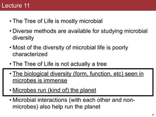 Lecture 11
• The Tree of Life is mostly microbial
• Diverse methods are available for studying microbial
diversity
• Most of the diversity of microbial life is poorly
characterized
• The Tree of Life is not actually a tree
• The biological diversity (form, function, etc) seen in
microbes is immense
• Microbes run (kind of) the planet
• Microbial interactions (with each other and non-
microbes) also help run the planet
6
 