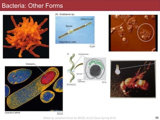 Slides by Jonathan Eisen for BIS2C at UC Davis Spring 2016
Bacteria: Other Forms
66
 