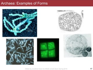 Slides by Jonathan Eisen for BIS2C at UC Davis Spring 2016
Archaea: Examples of Forms
67
 