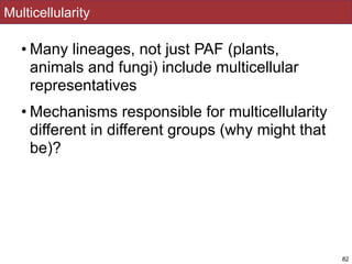 Multicellularity
• Many lineages, not just PAF (plants,
animals and fungi) include multicellular
representatives
• Mechanisms responsible for multicellularity
different in different groups (why might that
be)?
82
 