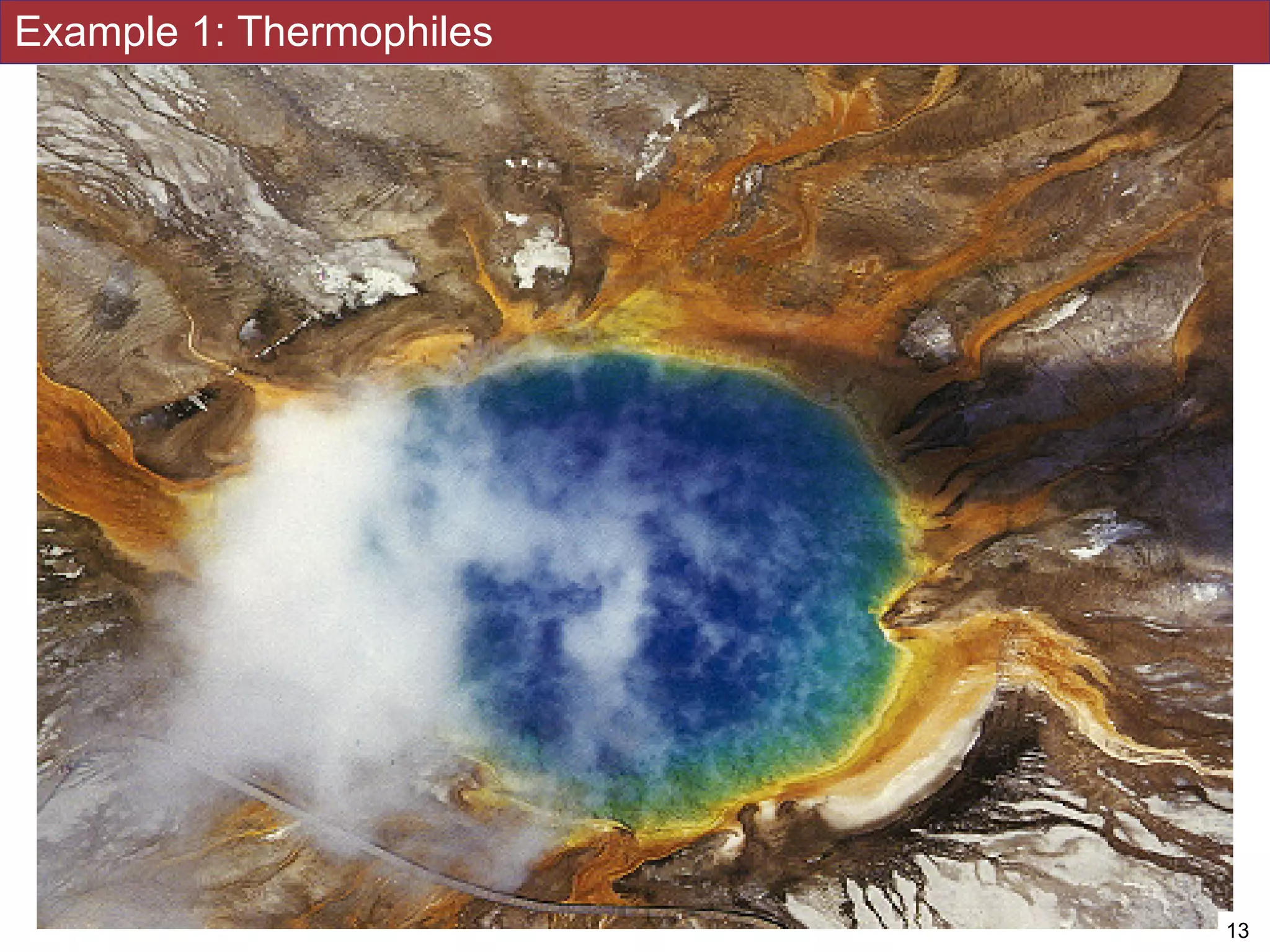 Example 1: Thermophiles
!13
 