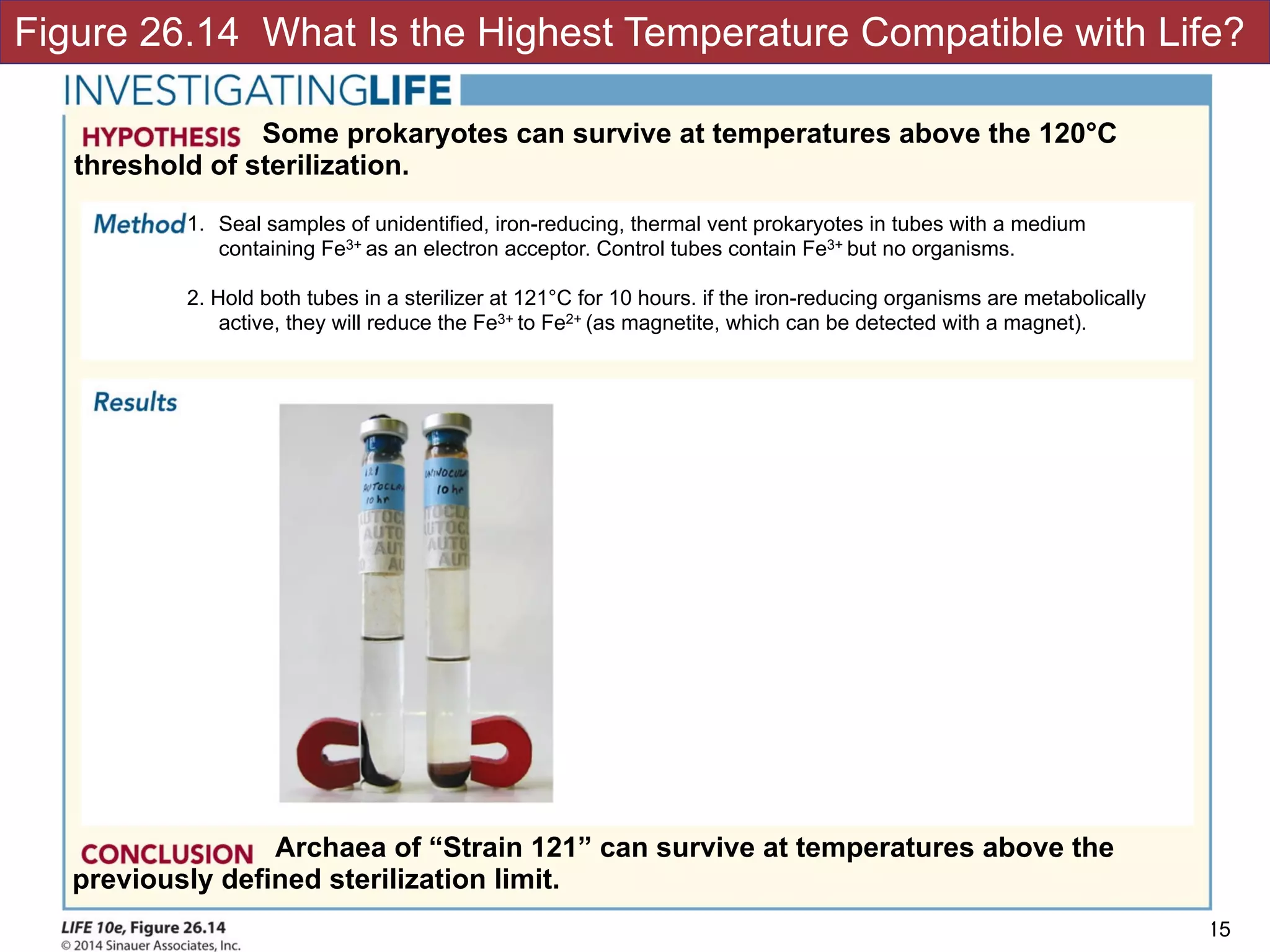 Figure 26.14 What Is the Highest Temperature Compatible with Life?
!15
Some prokaryotes can survive at temperatures above the 120°C
threshold of sterilization.
1. Seal samples of unidentified, iron-reducing, thermal vent prokaryotes in tubes with a medium
containing Fe3+ as an electron acceptor. Control tubes contain Fe3+ but no organisms.
2. Hold both tubes in a sterilizer at 121°C for 10 hours. if the iron-reducing organisms are metabolically
active, they will reduce the Fe3+ to Fe2+ (as magnetite, which can be detected with a magnet).
Archaea of “Strain 121” can survive at temperatures above the
previously defined sterilization limit.
 