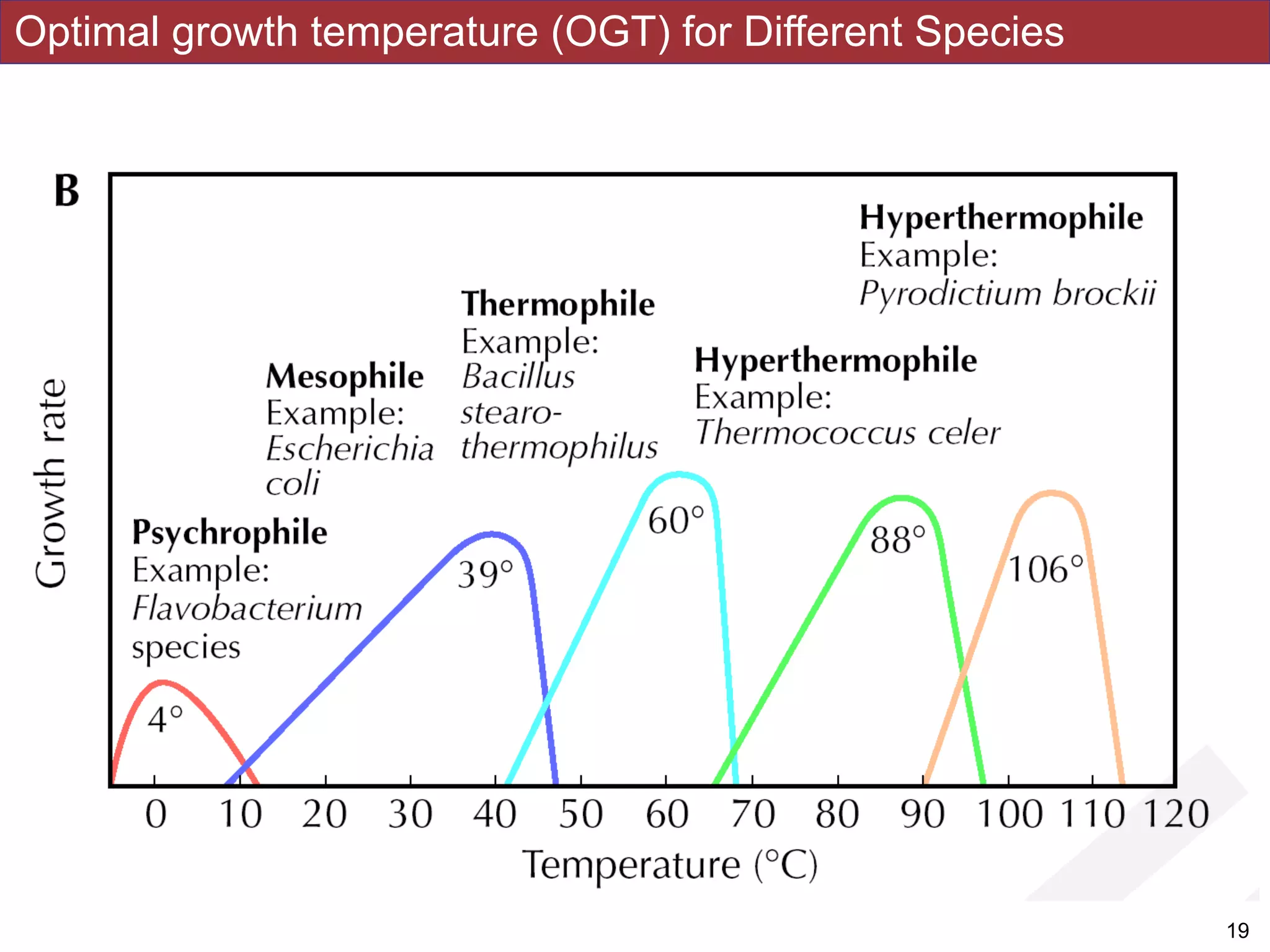 Optimal growth temperature (OGT) for Different Species
!19
 