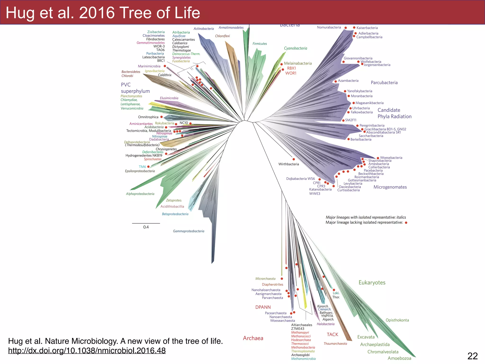 Hug et al 2016
!22
Hug et al. 2016 Tree of Life
Hug et al. Nature Microbiology. A new view of the tree of life.
http://dx.doi.org/10.1038/nmicrobiol.2016.48
 