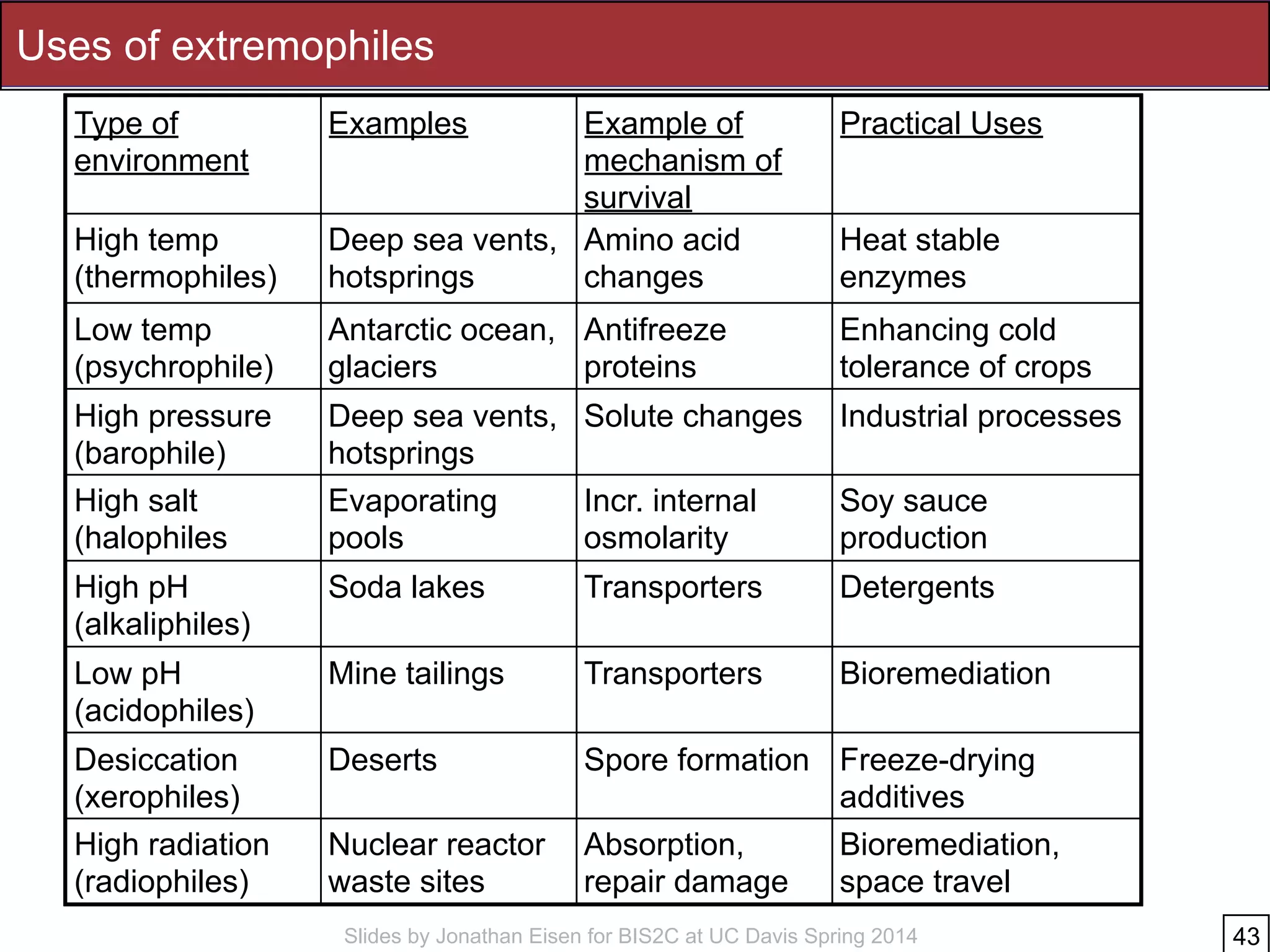 Slides by Jonathan Eisen for BIS2C at UC Davis Spring 2014
Uses of extremophiles
!43
Type of
environment
Examples Example of
mechanism of
survival
Practical Uses
High temp
(thermophiles)
Deep sea vents,
hotsprings
Amino acid
changes
Heat stable
enzymes
Low temp
(psychrophile)
Antarctic ocean,
glaciers
Antifreeze
proteins
Enhancing cold
tolerance of crops
High pressure
(barophile)
Deep sea vents,
hotsprings
Solute changes Industrial processes
High salt
(halophiles
Evaporating
pools
Incr. internal
osmolarity
Soy sauce
production
High pH
(alkaliphiles)
Soda lakes Transporters Detergents
Low pH
(acidophiles)
Mine tailings Transporters Bioremediation
Desiccation
(xerophiles)
Deserts Spore formation Freeze-drying
additives
High radiation
(radiophiles)
Nuclear reactor
waste sites
Absorption,
repair damage
Bioremediation,
space travel
 