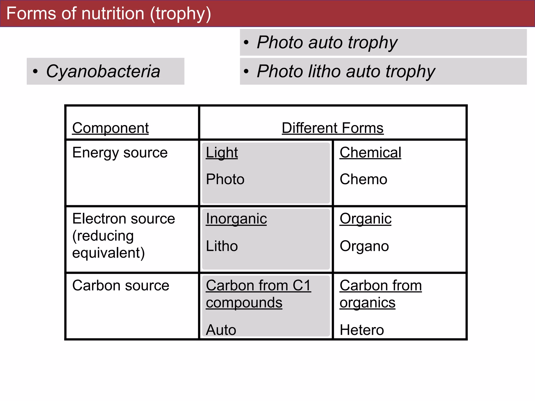 Component Different Forms
Energy source Light
Photo
Chemical
Chemo
Electron source
(reducing
equivalent)
Inorganic
Litho
Organic
Organo
Carbon source Carbon from C1
compounds
Auto
Carbon from
organics
Hetero
Forms of nutrition (trophy)
• Cyanobacteria • Photo litho auto trophy
• Photo auto trophy
 