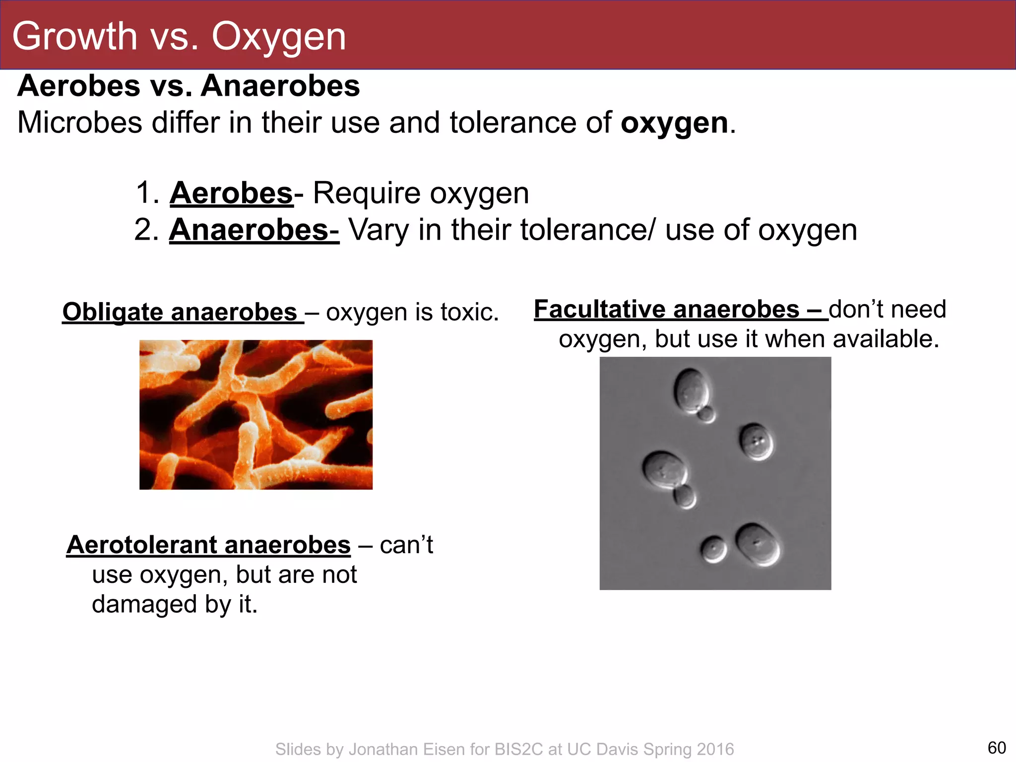 Slides by Jonathan Eisen for BIS2C at UC Davis Spring 2016
Growth vs. Oxygen
60
Aerobes vs. Anaerobes 
Microbes differ in their use and tolerance of oxygen.
1. Aerobes- Require oxygen
2. Anaerobes- Vary in their tolerance/ use of oxygen
Obligate anaerobes – oxygen is toxic.
Aerotolerant anaerobes – can’t
use oxygen, but are not
damaged by it.
Facultative anaerobes – don’t need
oxygen, but use it when available.
 
