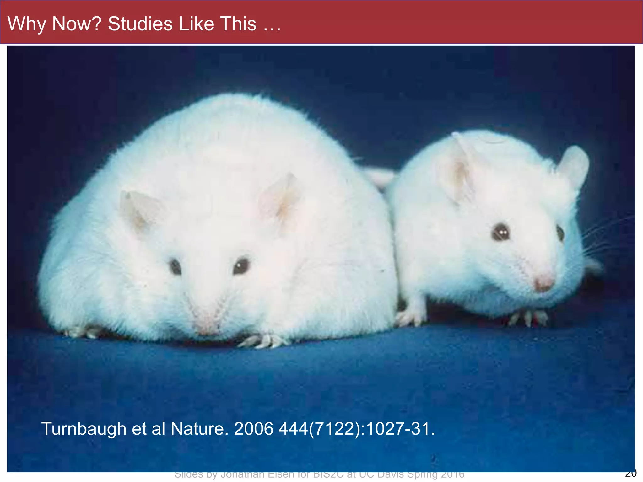 Slides by Jonathan Eisen for BIS2C at UC Davis Spring 2016
Why Now? Studies Like This …
20
Turnbaugh et al Nature. 2006 444(7122):1027-31.
 