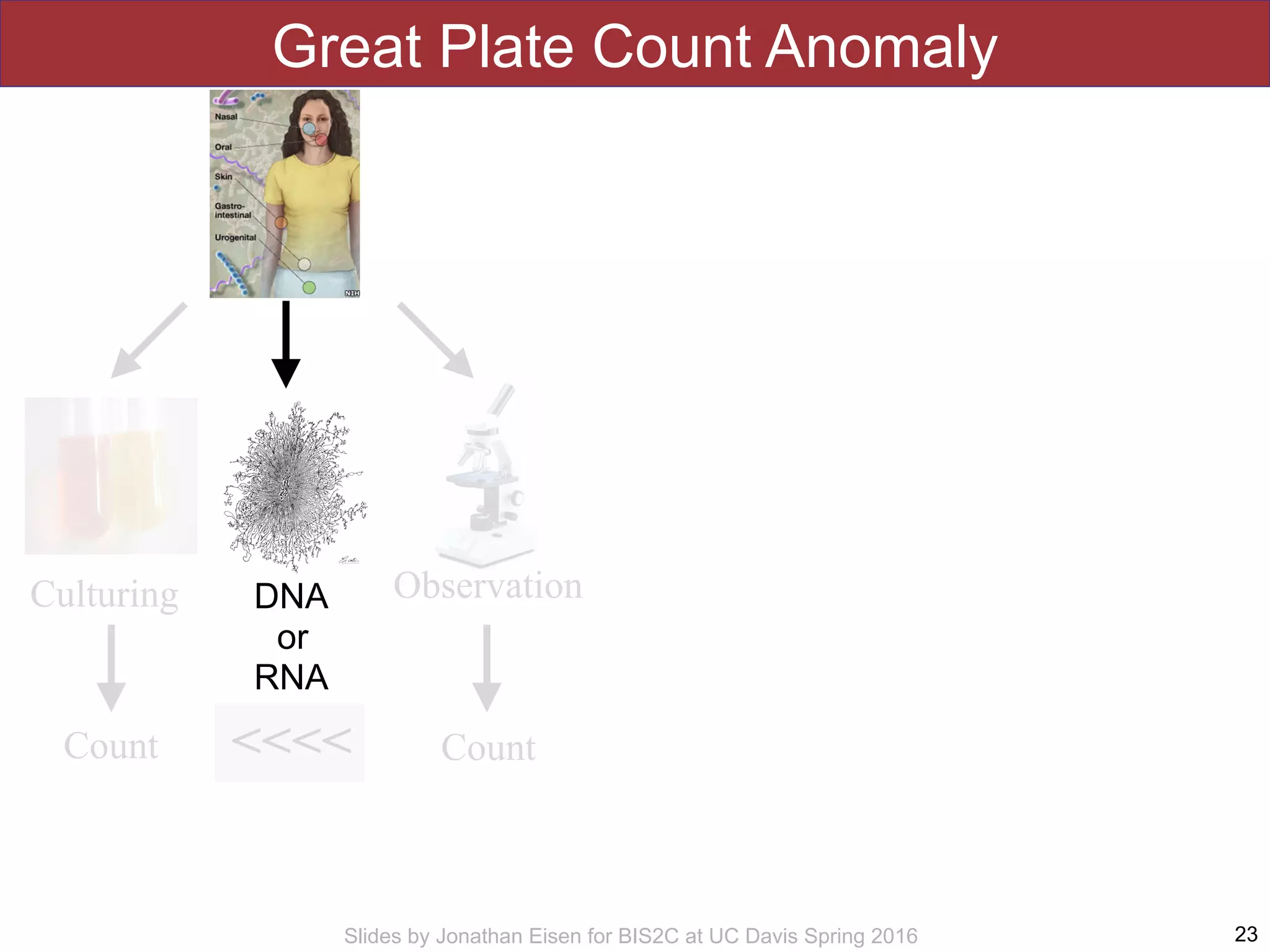 Slides by Jonathan Eisen for BIS2C at UC Davis Spring 2016
Great Plate Count Anomaly
23
<<<<
Culturing Observation
CountCount
http://www.google.com/url?
sa=i&rct=j&q=&esrc=s&source=images&c
d=&docid=rLu5sL207WlE1M&tbnid=CRLQ
YP7d9d_TcM:&ved=0CAUQjRw&url=http
%3A%2F%2Fwww.biol.unt.edu
%2F~jajohnson
%2FDNA_sequencing_process&ei=hFu7U_
TyCtOqsQSu9YGwBg&psig=AFQjCNG-8EB
dEljE7-
yHFG2KPuBZt8kIPw&ust=14048739512114
24
DNA 
or
RNA
 