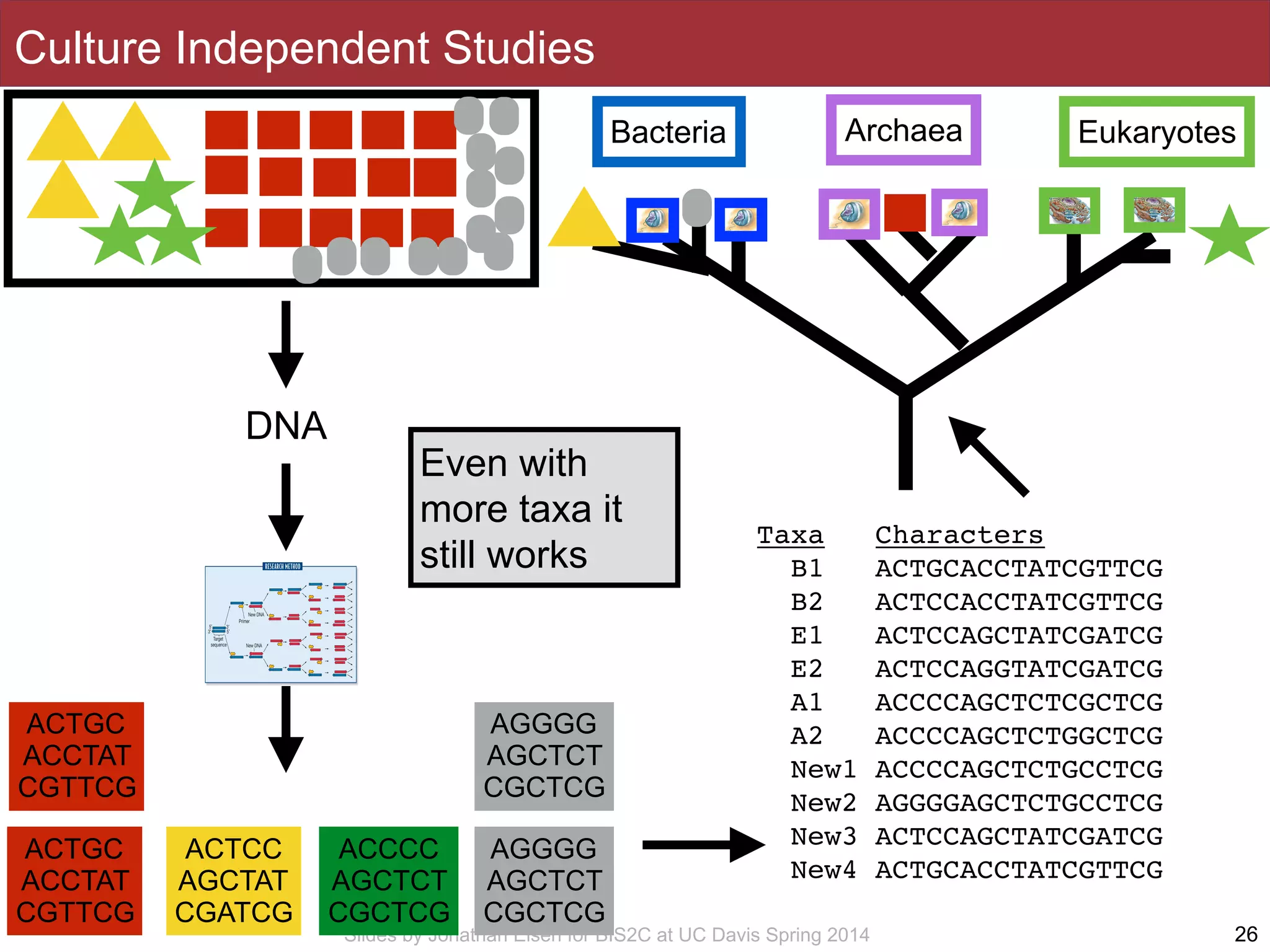 Slides by Jonathan Eisen for BIS2C at UC Davis Spring 2014 26
DNA
Taxa Characters
B1 ACTGCACCTATCGTTCG
B2 ACTCCACCTATCGTTCG
E1 ACTCCAGCTATCGATCG
E2 ACTCCAGGTATCGATCG
A1 ACCCCAGCTCTCGCTCG
A2 ACCCCAGCTCTGGCTCG
New1 ACCCCAGCTCTGCCTCG
New2 AGGGGAGCTCTGCCTCG
New3 ACTCCAGCTATCGATCG
New4 ACTGCACCTATCGTTCG
EukaryotesBacteria Archaea
ACTGC
ACCTAT
CGTTCG
ACTCC
AGCTAT
CGATCG
ACCCC
AGCTCT
CGCTCG
AGGGG
AGCTCT
CGCTCG
AGGGG
AGCTCT
CGCTCG
ACTGC
ACCTAT
CGTTCG
Even with
more taxa it
still works
Culture Independent Studies
 