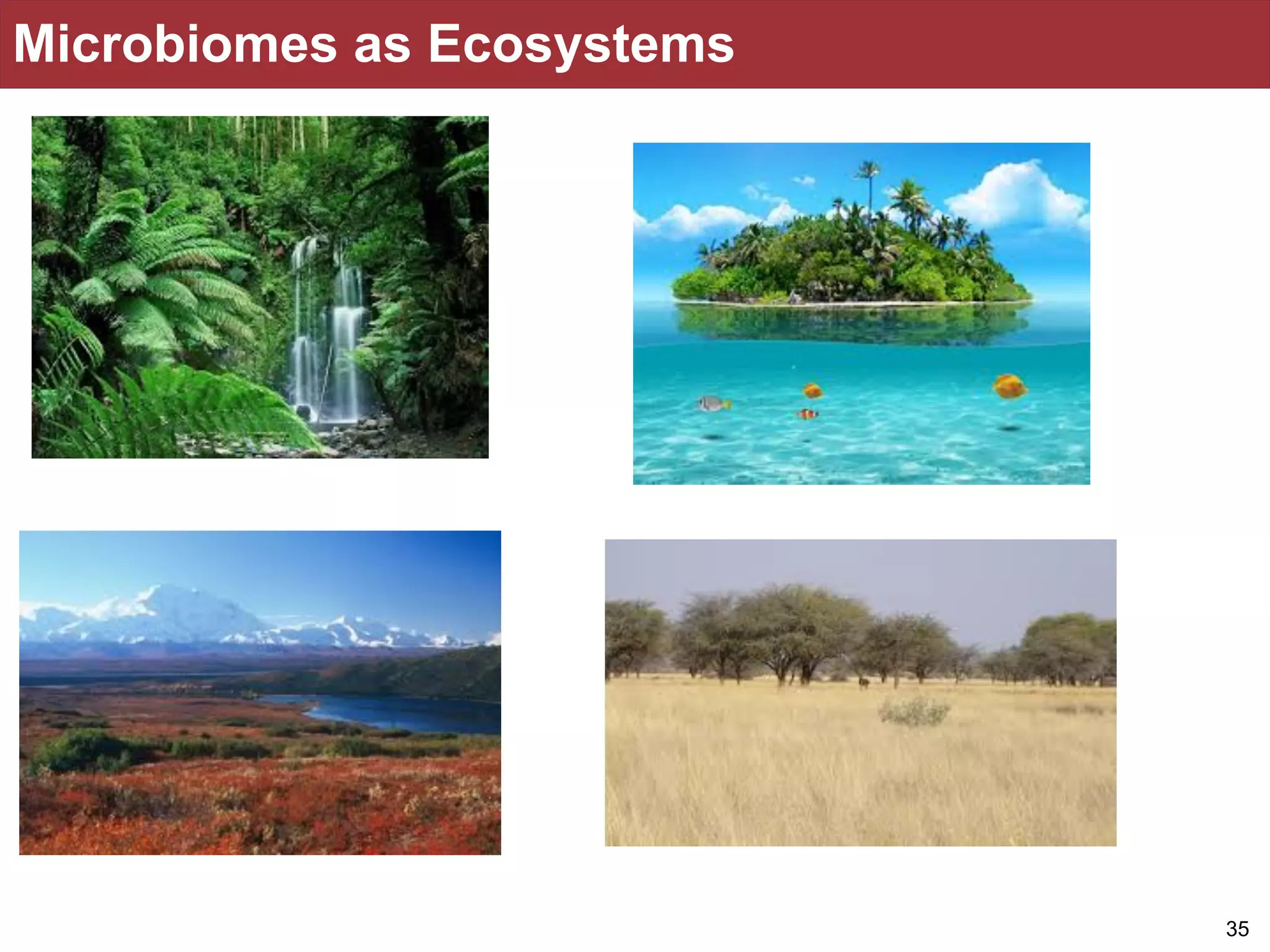 Microbiomes as Ecosystems
!35
 
