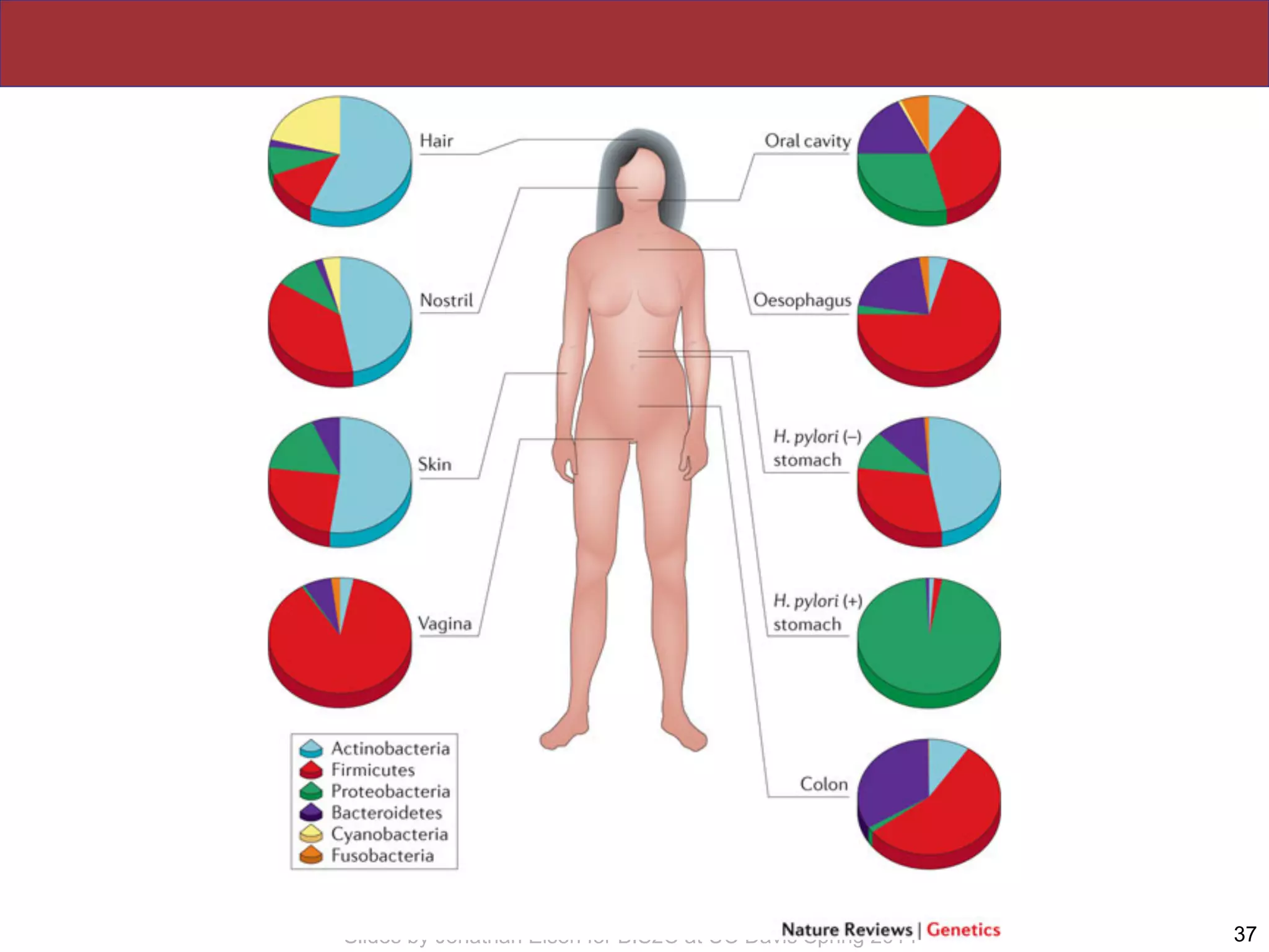 Slides by Jonathan Eisen for BIS2C at UC Davis Spring 2014 37
 