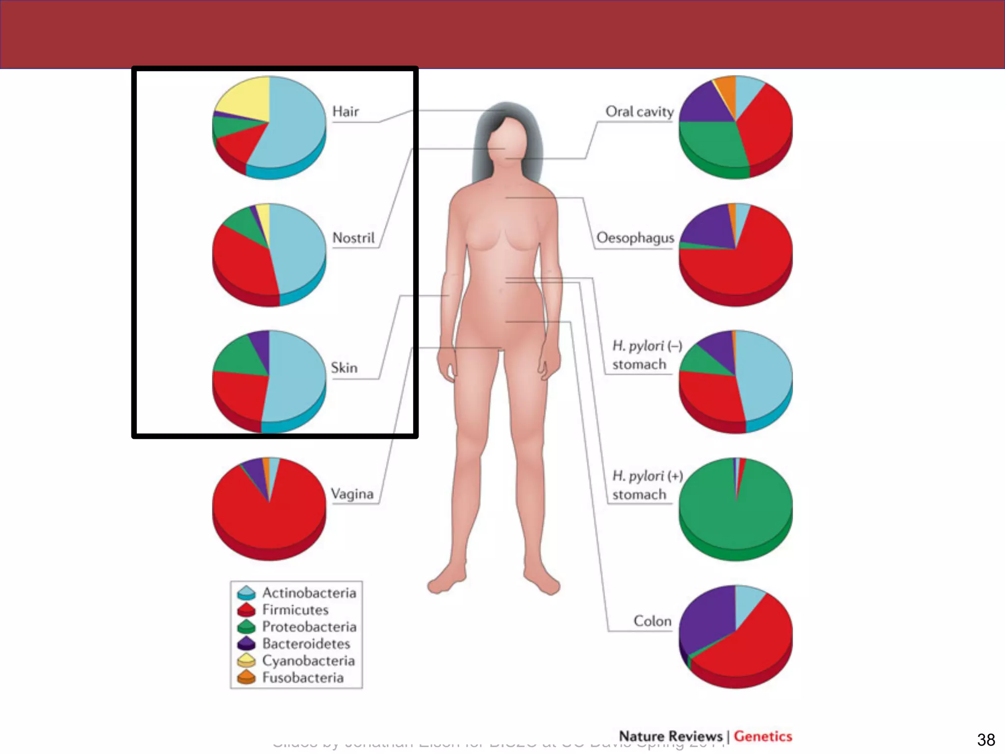 Slides by Jonathan Eisen for BIS2C at UC Davis Spring 2014 38
 