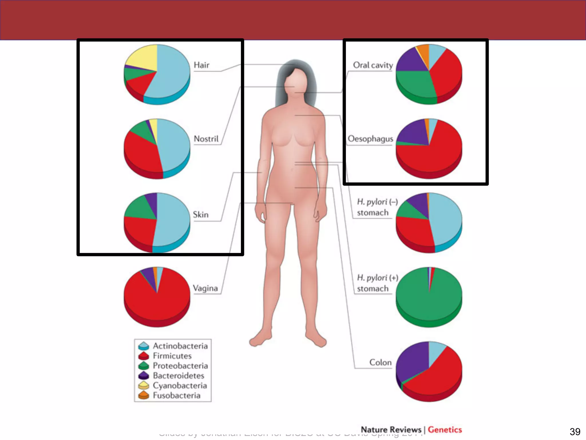 Slides by Jonathan Eisen for BIS2C at UC Davis Spring 2014 39
 